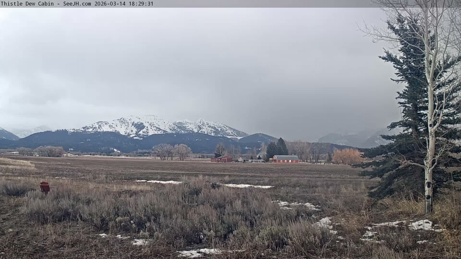 Grand Teton Mountains Peaks from Teton Valley Thistle Dew Cabin Live Cam - Tetonia, Teton, Idaho, USA