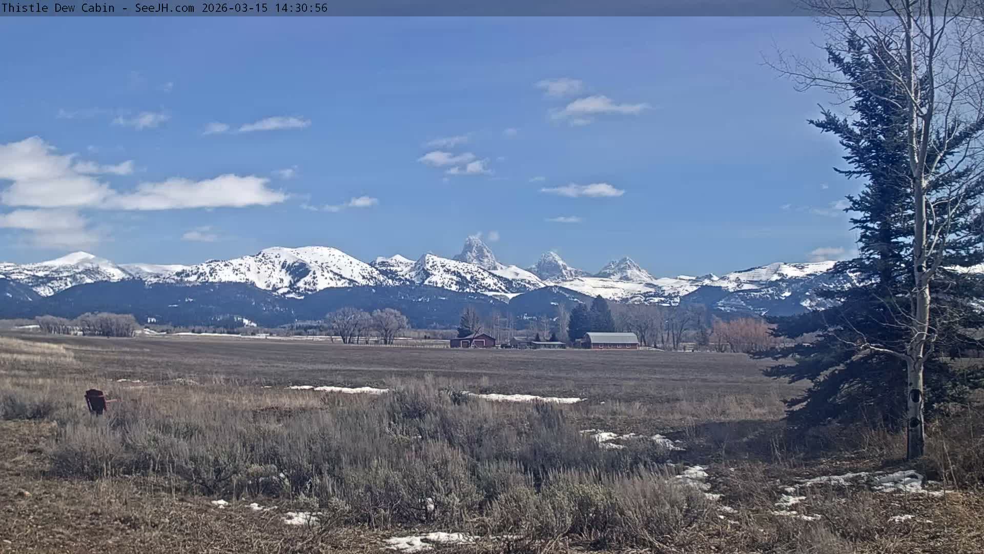 Grand Teton Mountains Peaks from Teton Valley Thistle Dew Cabin Live Cam - Tetonia, Teton, Idaho, USA