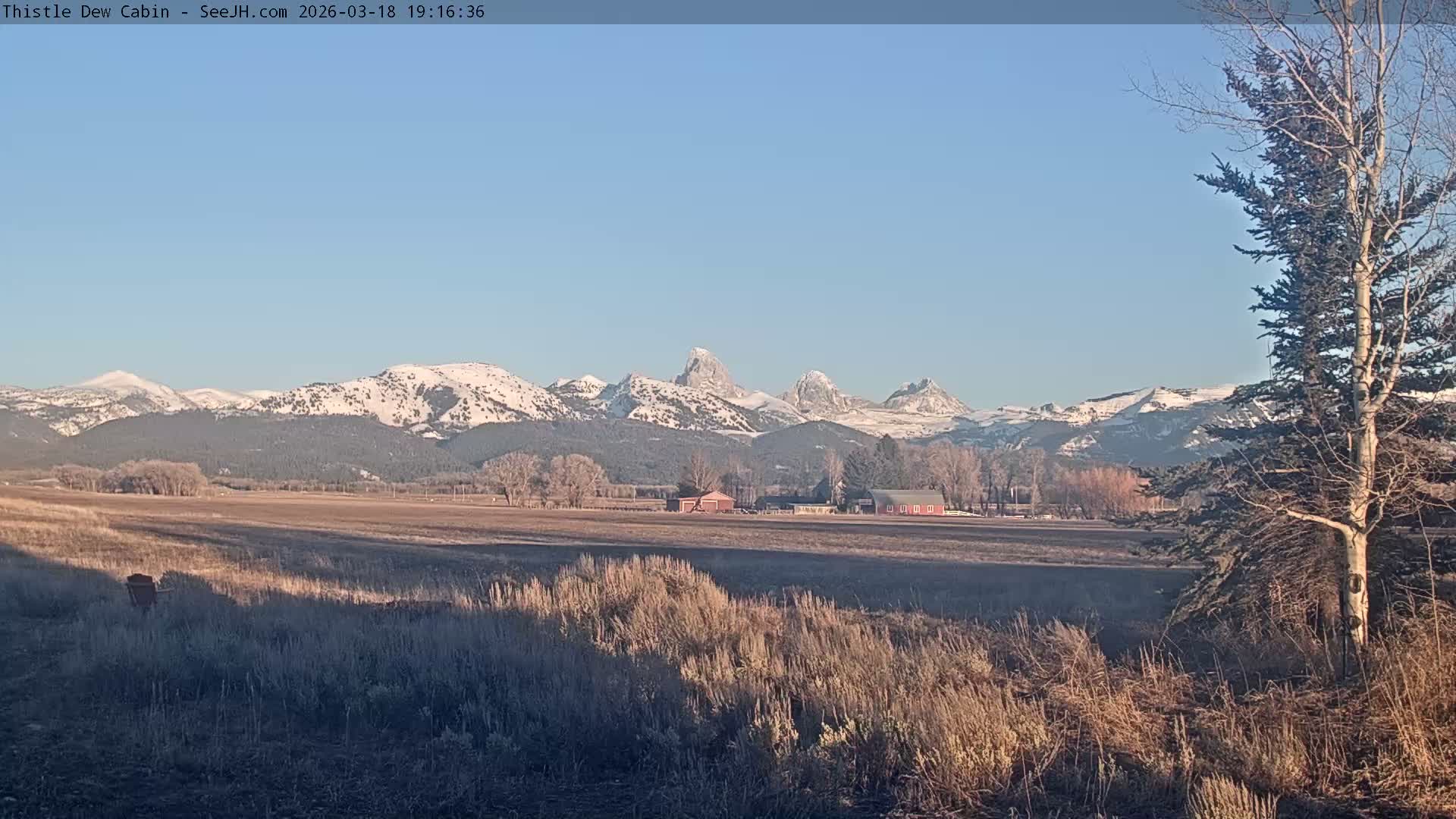 Grand Teton Mountains Peaks from Teton Valley Thistle Dew Cabin Live Cam - Tetonia, Teton, Idaho, USA