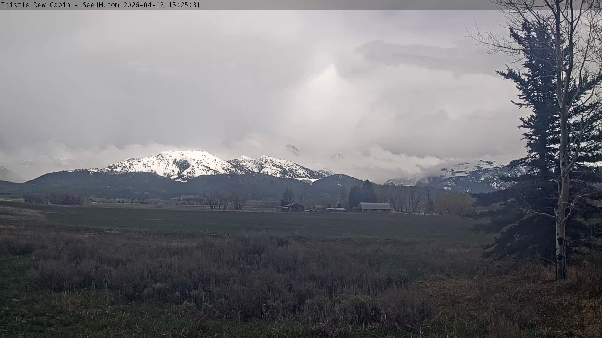 Grand Teton Mountains Peaks from Teton Valley Thistle Dew Cabin Live Cam - Tetonia, Teton, Idaho, USA