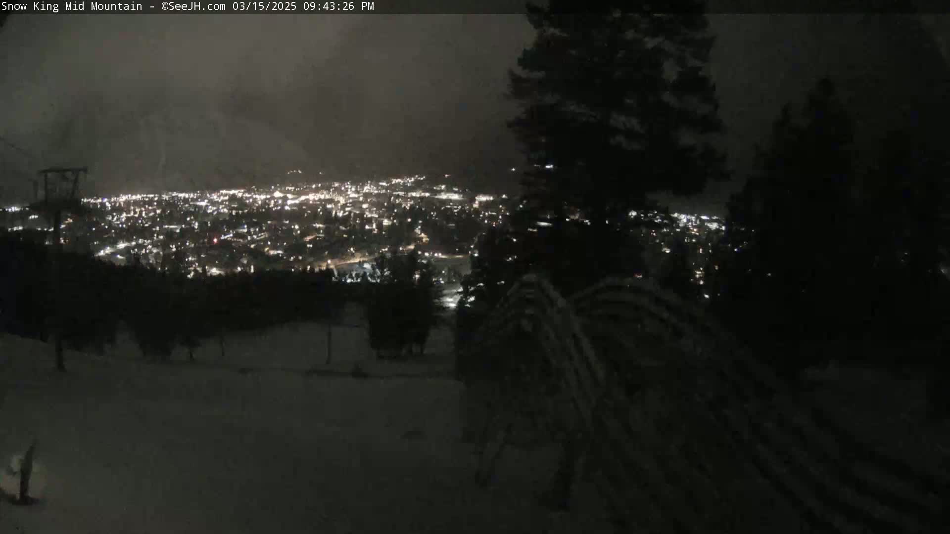 A nighttime view from a snowy, wooded hillside overlooking a distant city illuminated by lights under a dark sky.