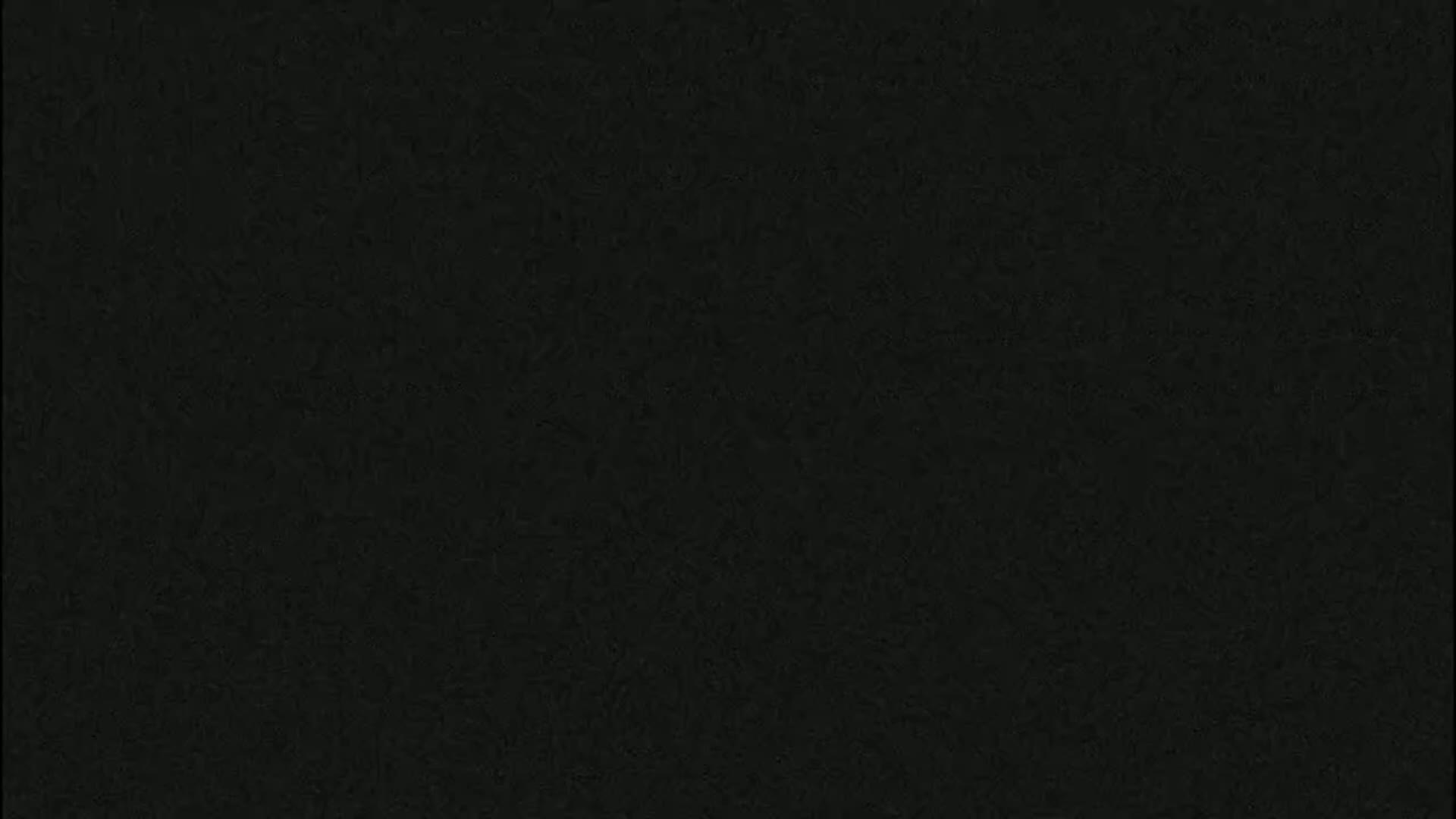 The image is a dark, textured, uniformly colored surface.