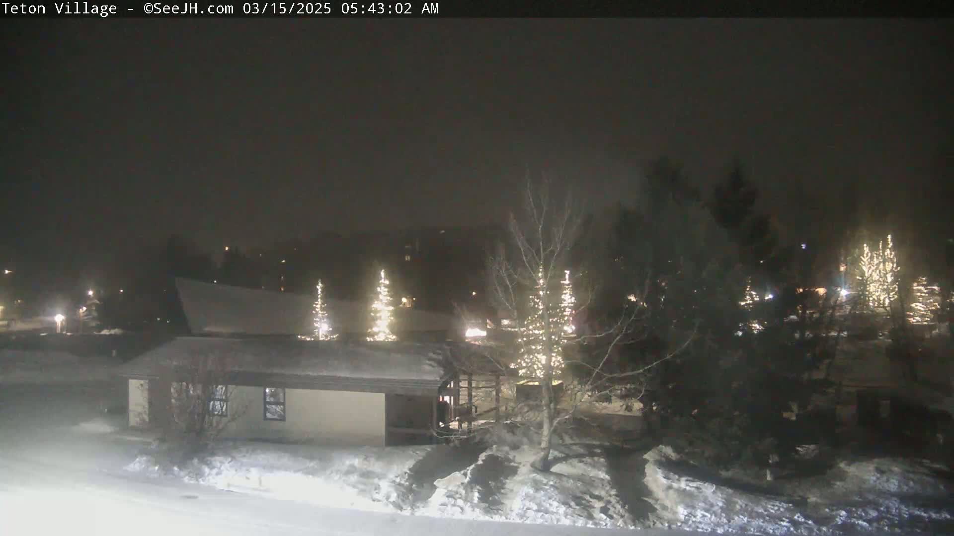 A snow-covered landscape at night, featuring a single-story building illuminated by lights on nearby trees.