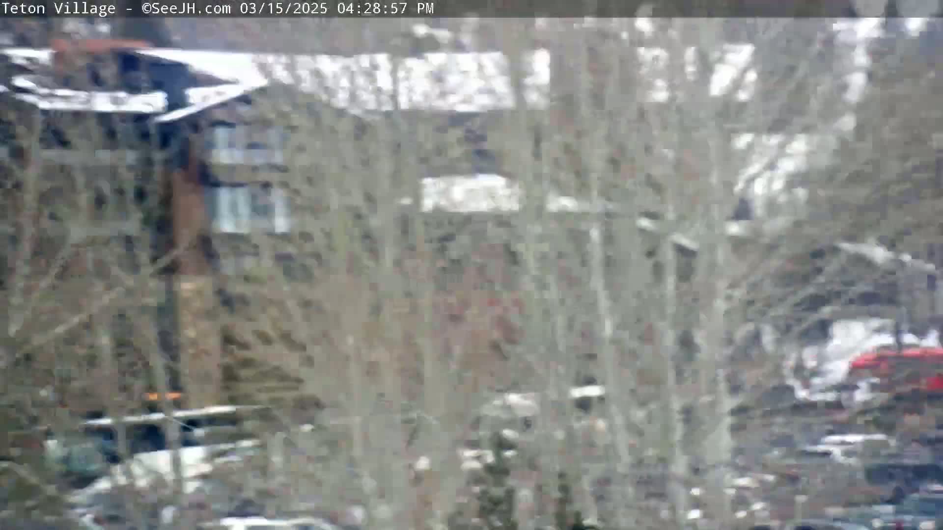 A blurry view of a building and vehicles partially obscured by bare trees in snowy weather.