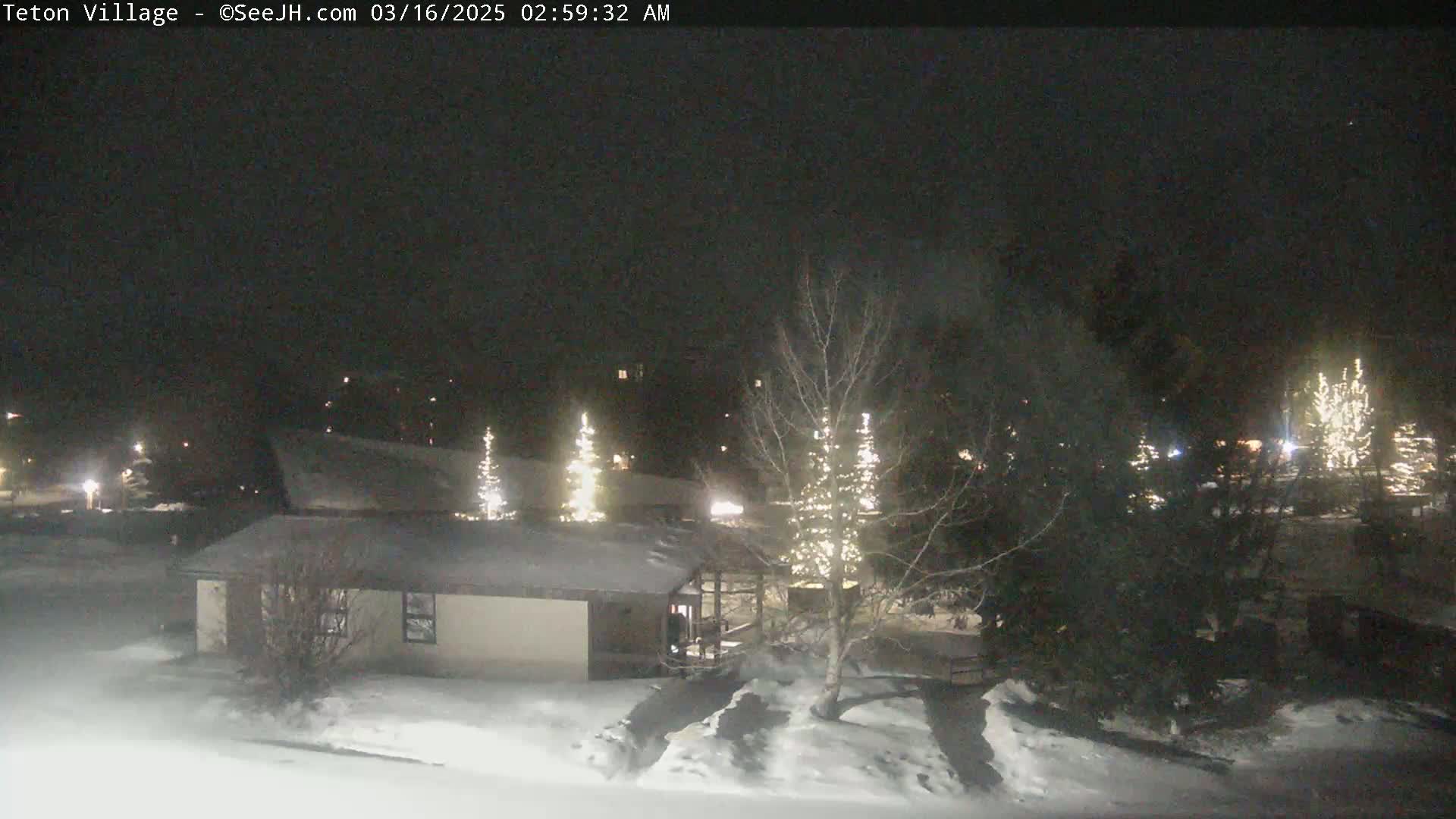 A snow-covered landscape at night, illuminated by lights on trees and buildings, with a single-story building visible in the foreground.