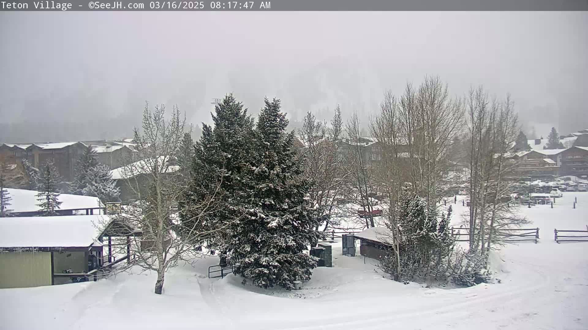 A snow-covered village scene with several buildings, trees laden with snow, and a hazy, overcast sky.