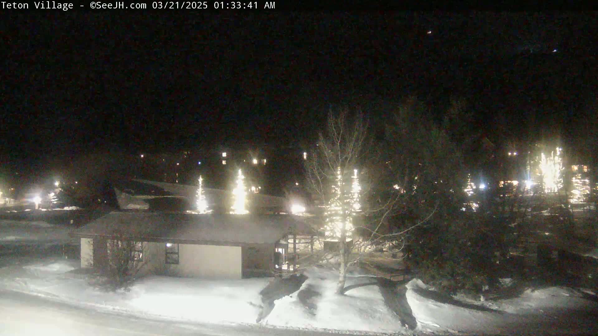 A snow-covered landscape at night shows a single-story building with illuminated trees nearby under a clear, dark sky.