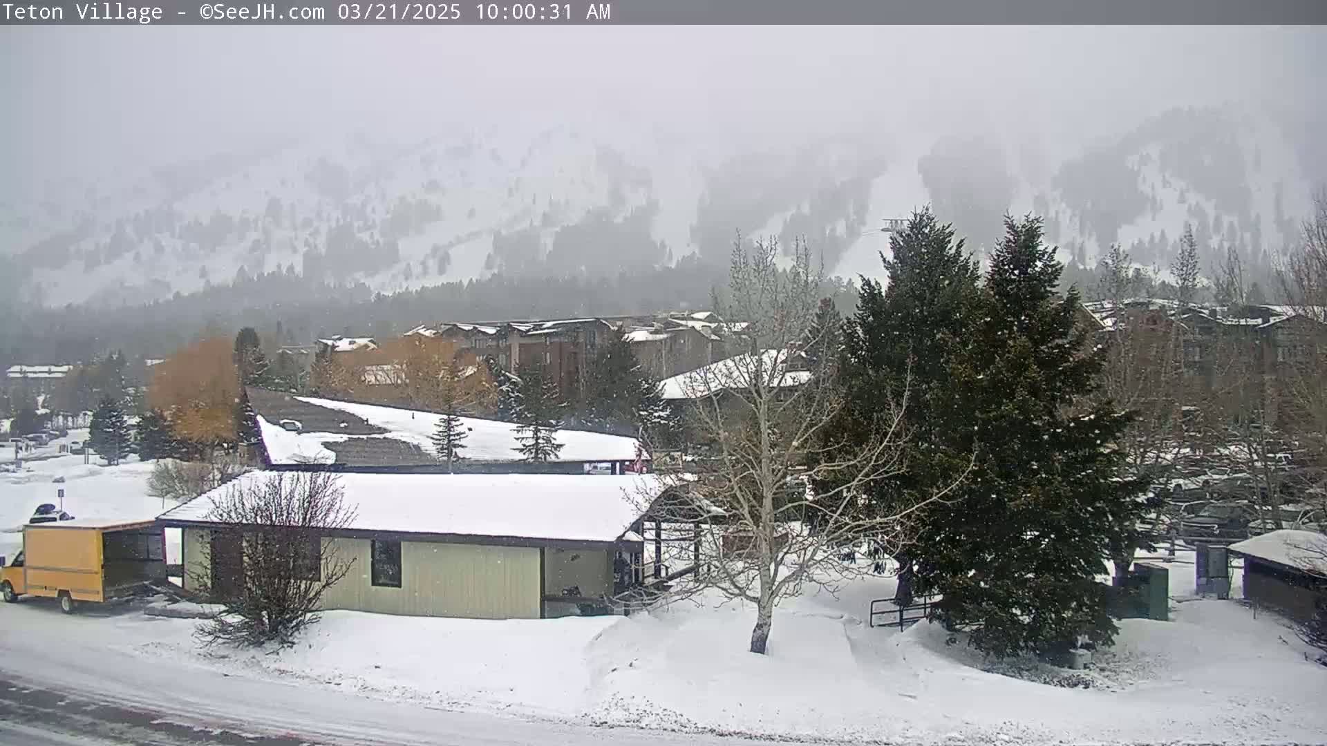 A snow-covered village with buildings and trees, viewed under a heavy, snowy sky with snow falling.