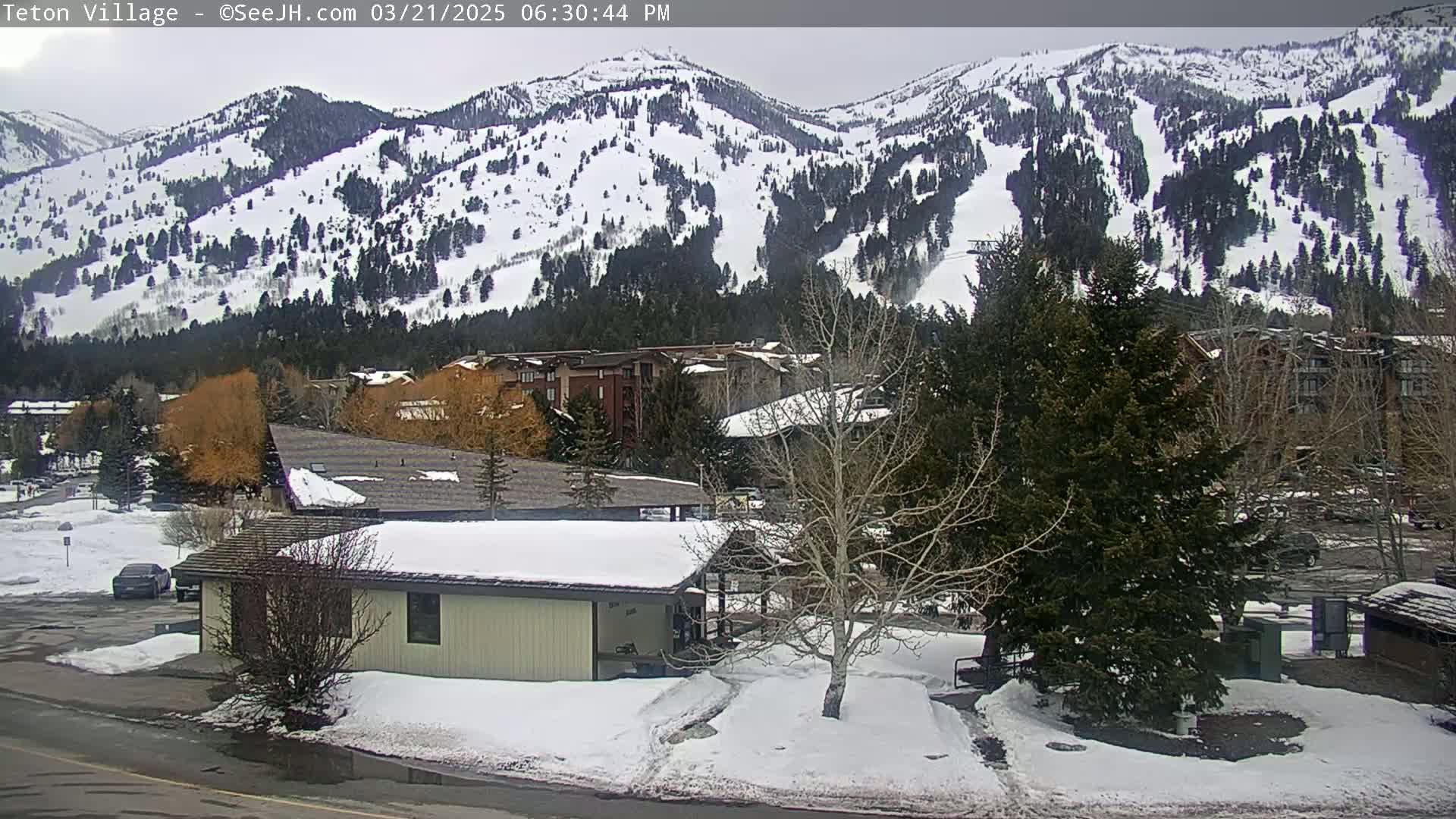 A snow-covered village nestled at the base of a snow-dusted mountain range on an overcast day.