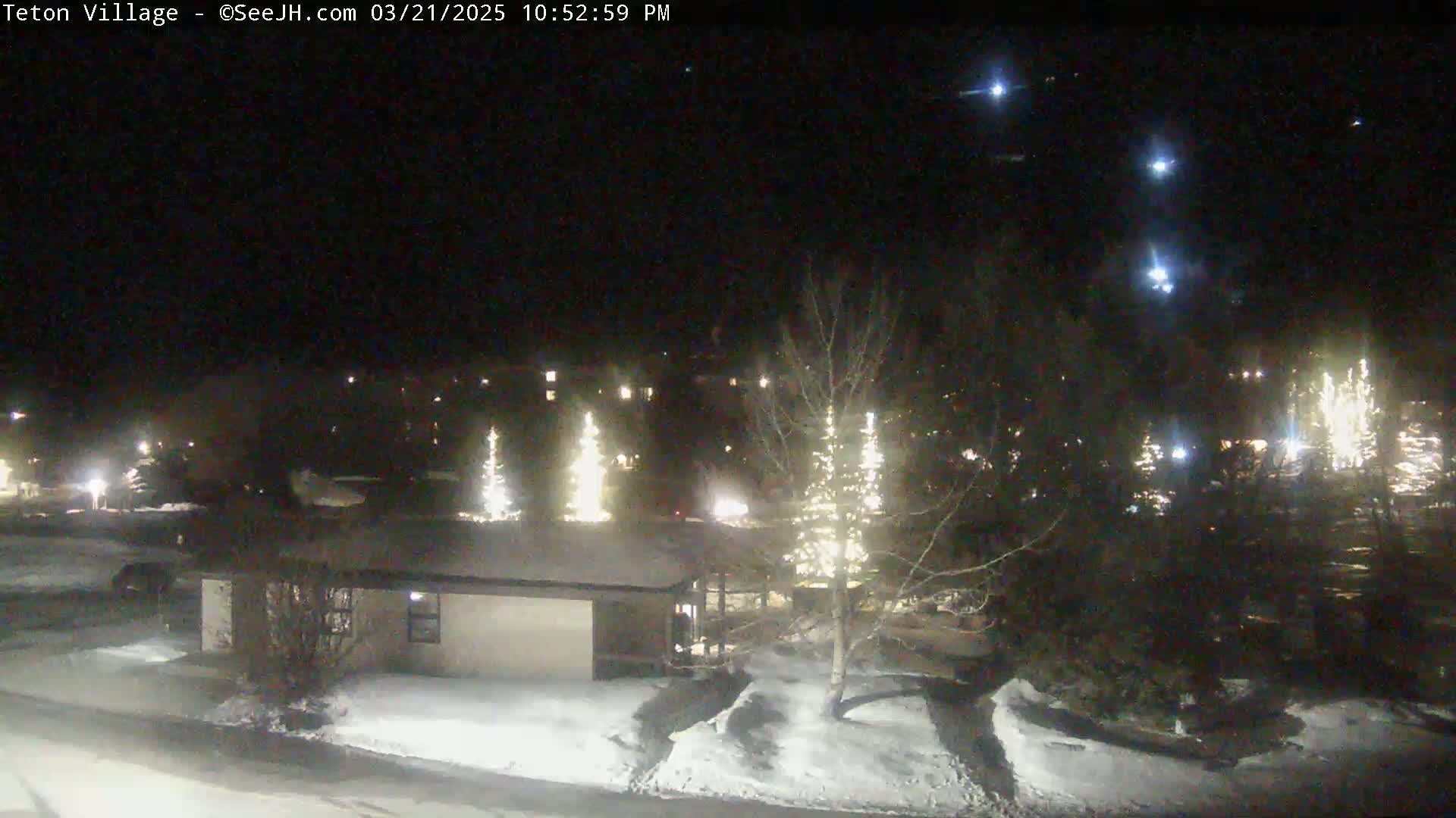 A nighttime view of a snow-covered residential area with illuminated trees and buildings under a clear sky with bright stars.