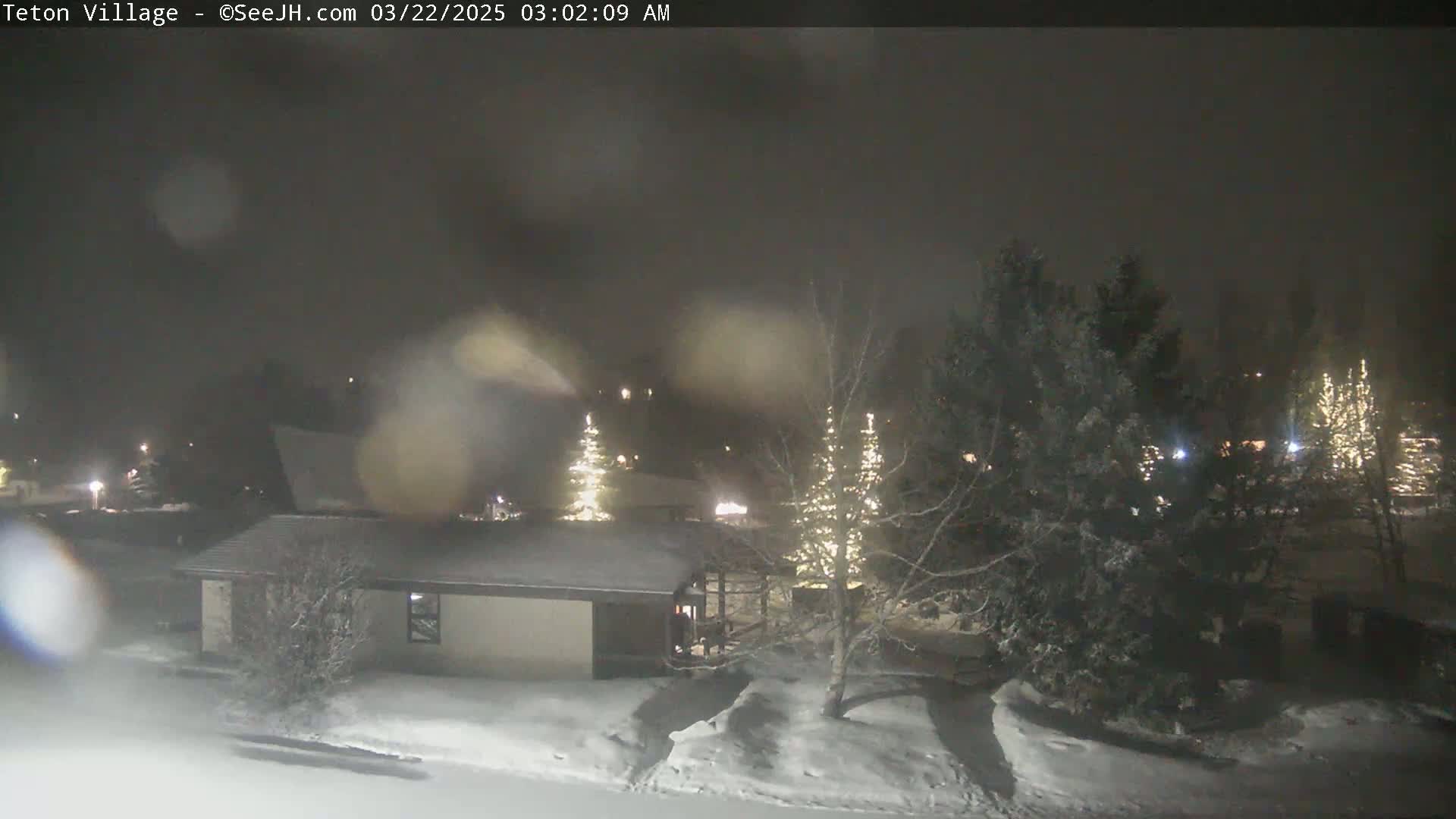 A snow-covered landscape at night, showing a small building and evergreens illuminated by lights, with a blurry, snowy atmosphere.