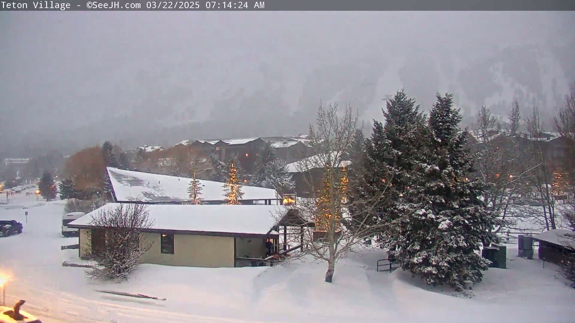 A snow-covered village scene with evergreen trees and buildings under a heavy, overcast sky.
