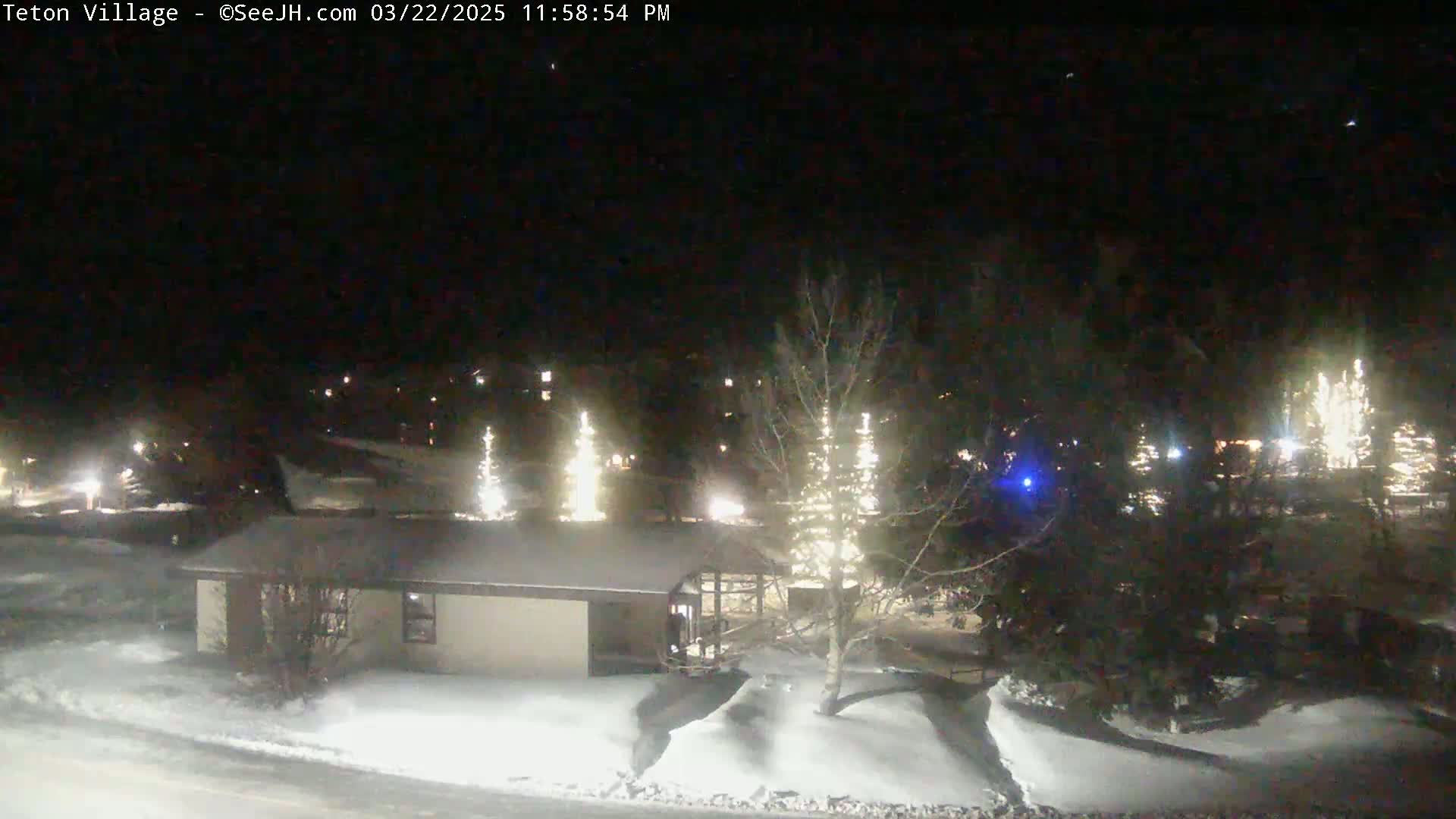 A snow-covered landscape at night, illuminated by lights on trees and buildings, under a dark, clear sky.