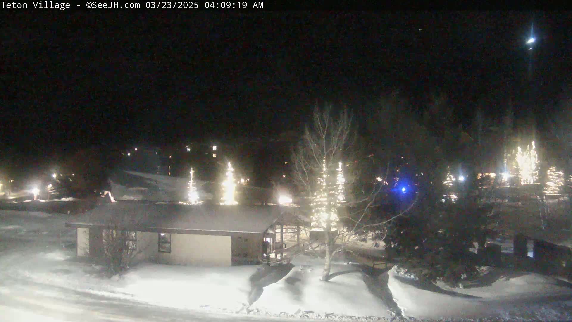 A snow-covered landscape at night, illuminated by lights on trees and buildings, under a clear, dark sky.