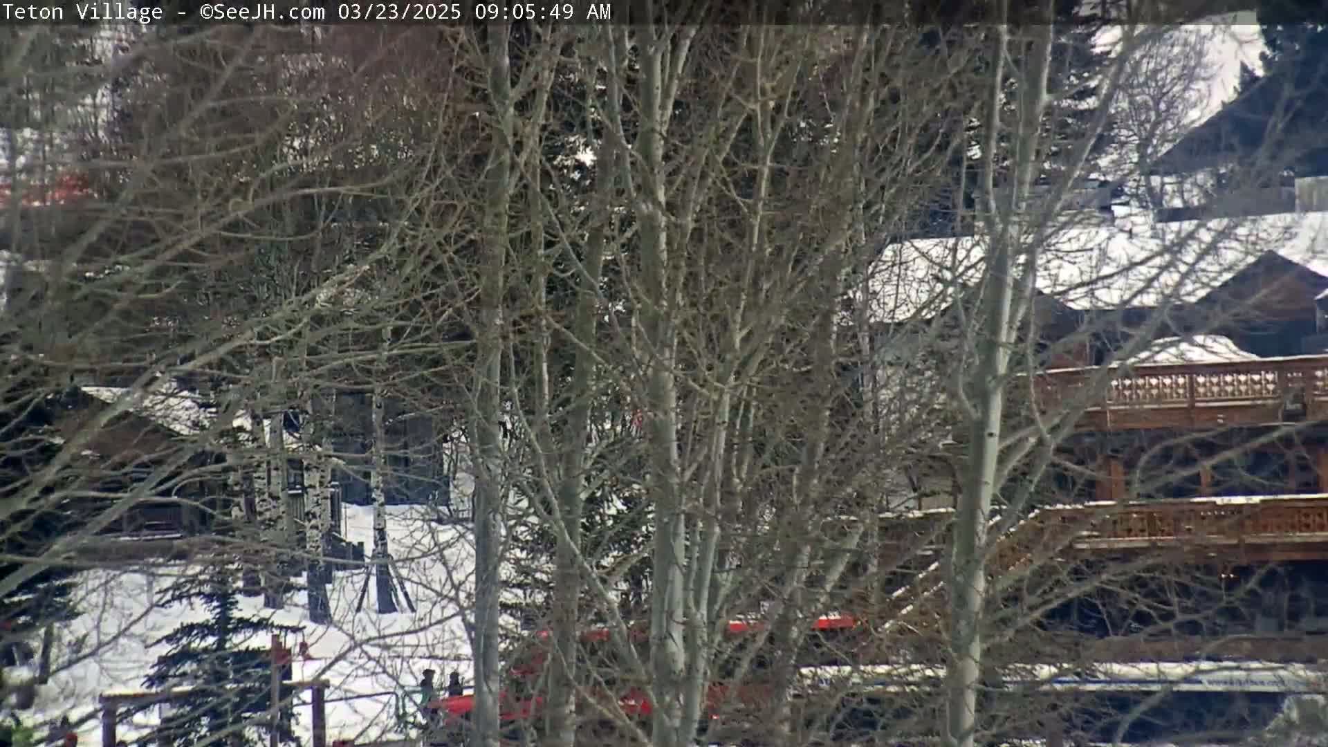 Bare trees and snow-covered ground partially obscure a view of wooden buildings on a cloudy day.
