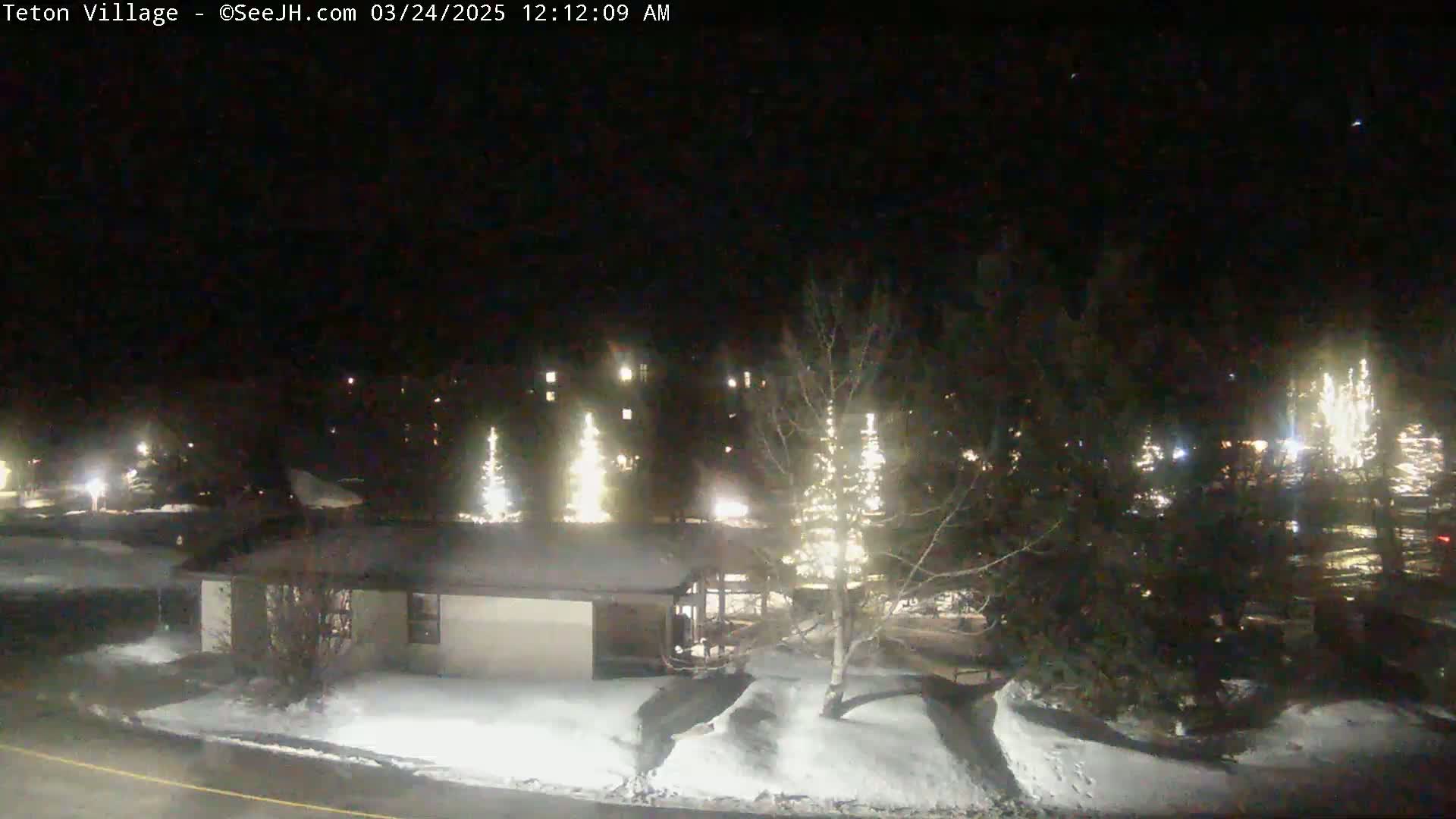 A nighttime view of a snow-covered residential area with illuminated trees and buildings under a dark, clear sky.