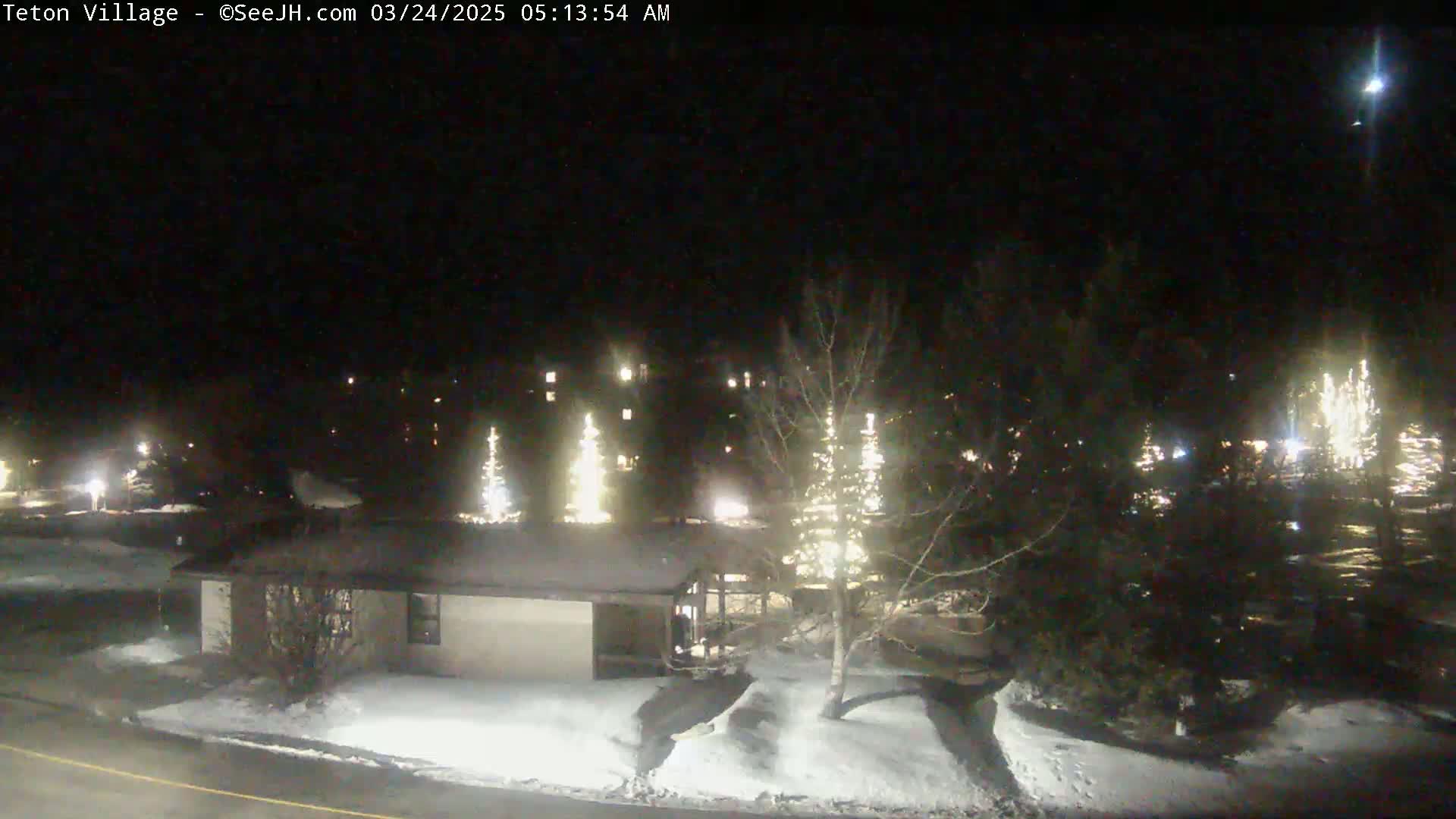 A nighttime view of a snow-covered residential area with illuminated trees and a single-story building, under a clear, dark sky.