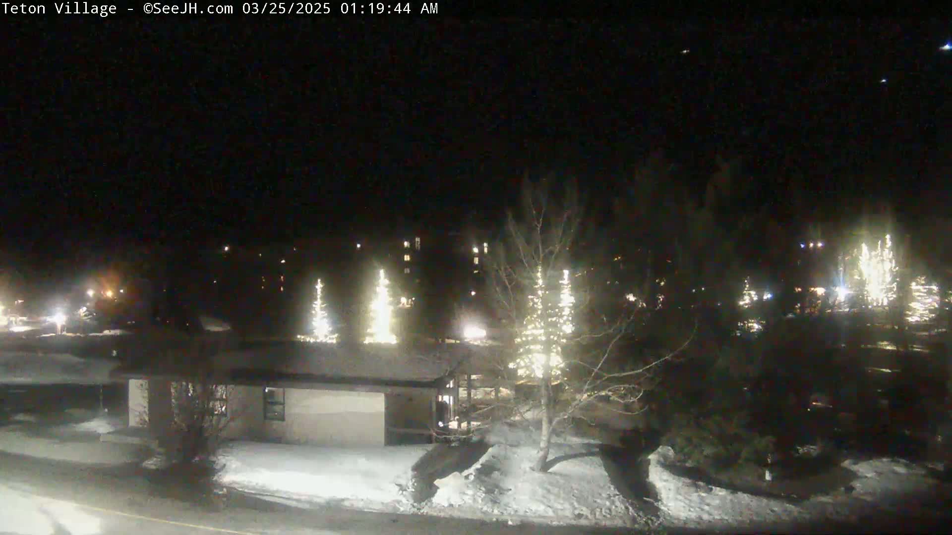 A nighttime, snow-covered scene shows several buildings and illuminated trees under a dark sky.
