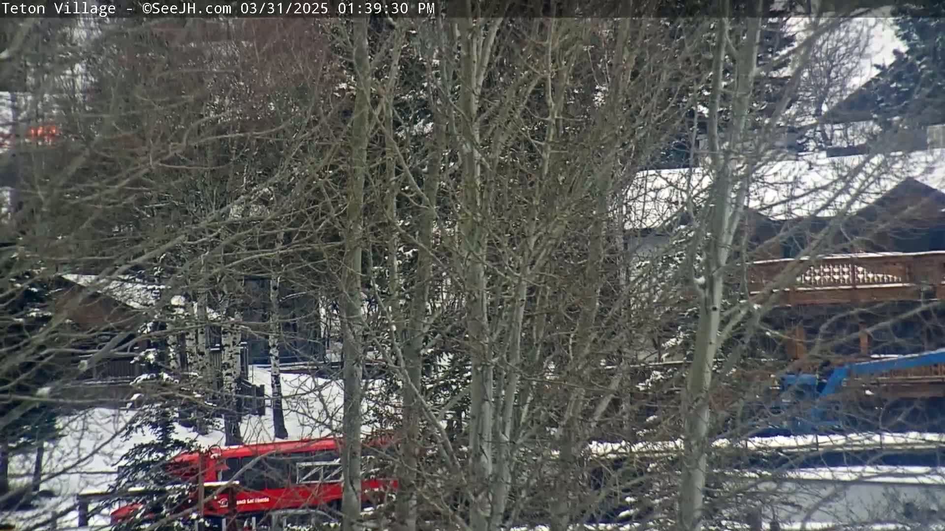 A red bus is partially visible through bare, snow-covered trees in front of a snow-dusted house with a wooden deck.