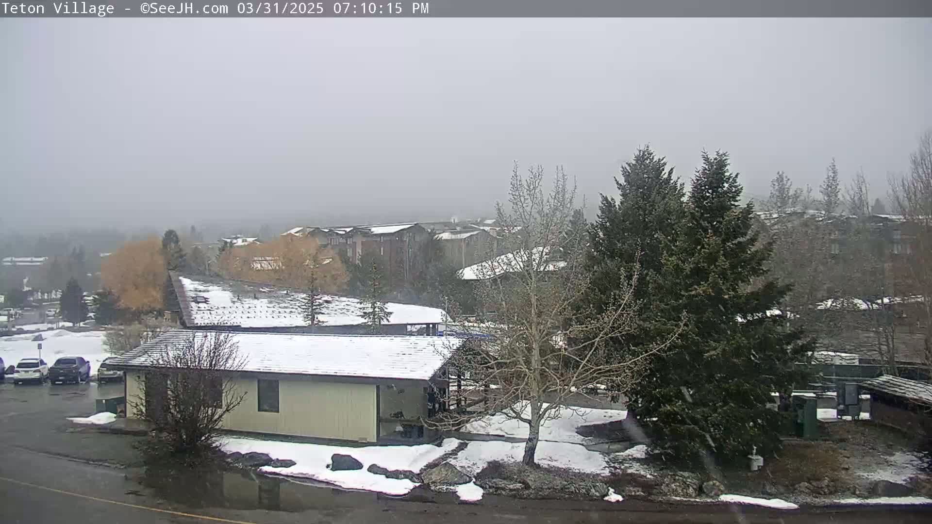 A snow-covered residential area with several buildings, trees, and a few cars in a parking lot under a light snowfall.