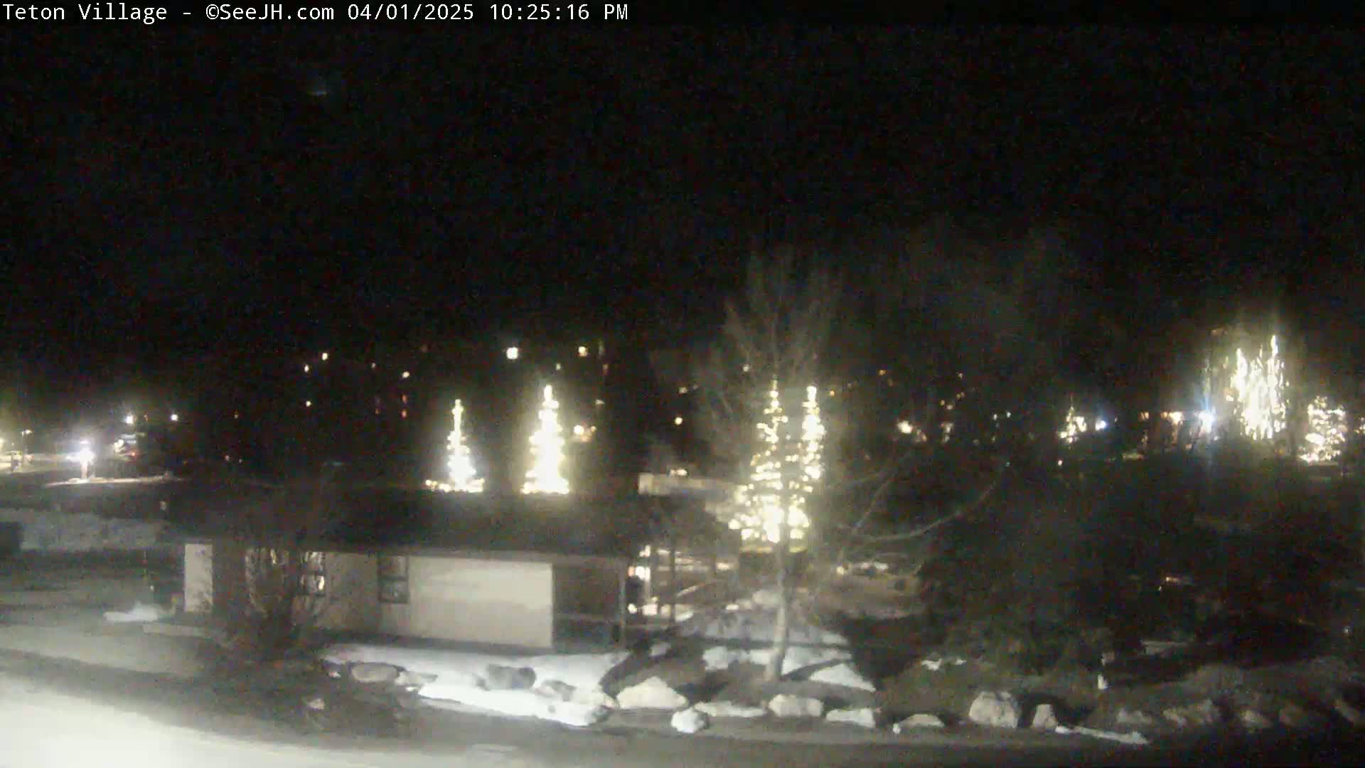 A nighttime view of a snow-covered area with illuminated trees and a building, under a dark sky.