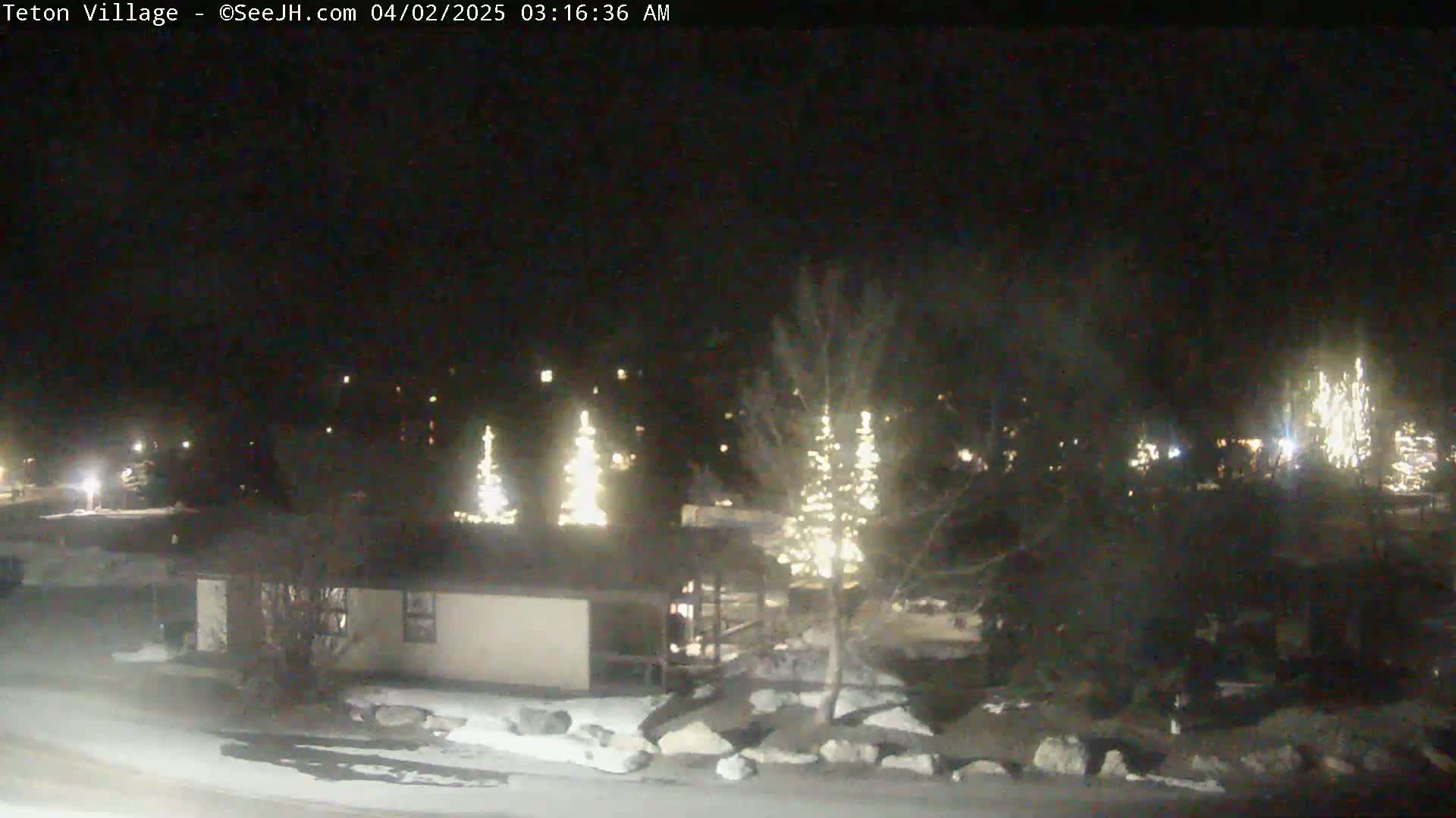 A nighttime scene shows several illuminated trees and a single-story building covered in snow, under a dark sky.