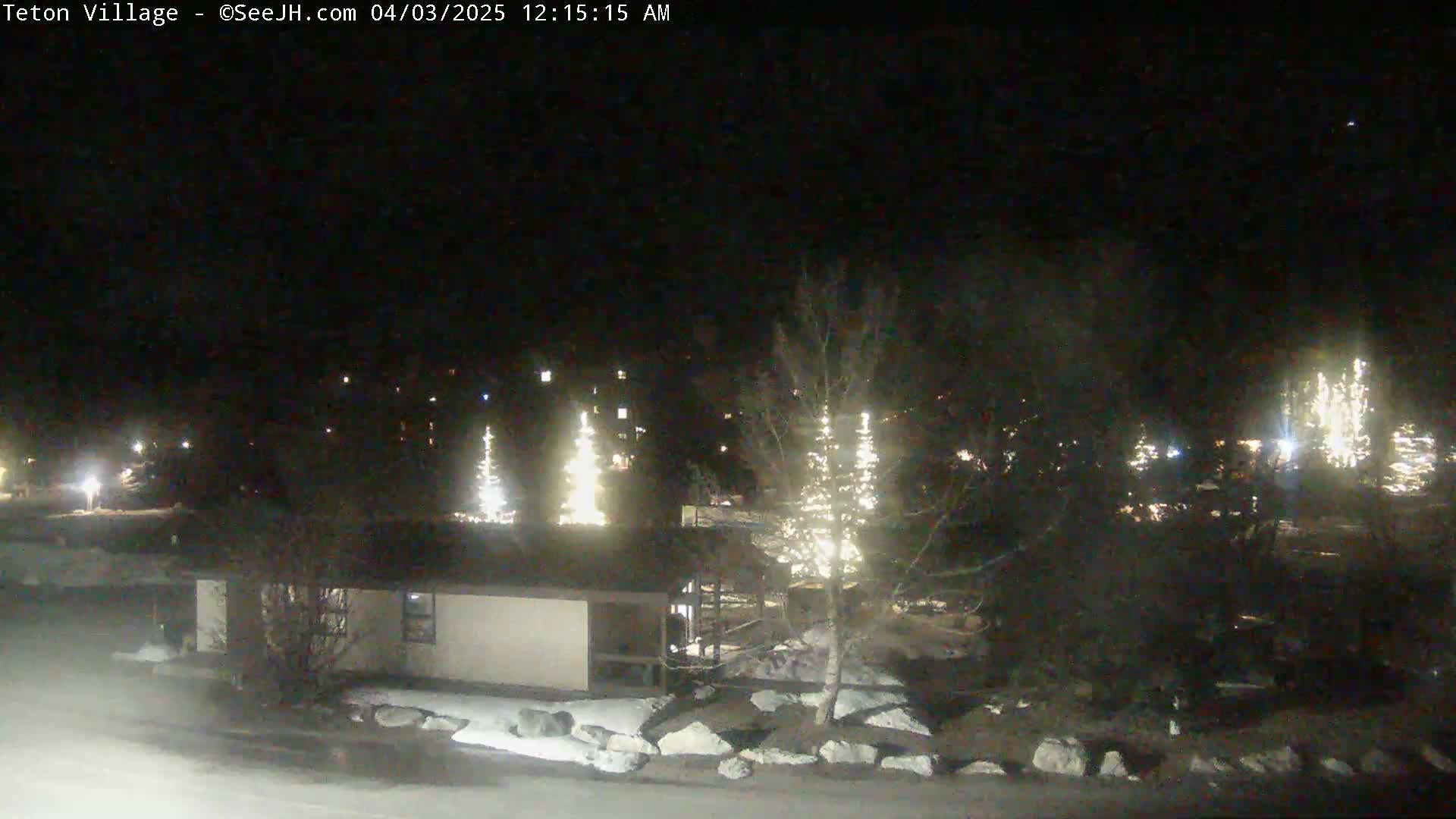 A nighttime view of a snow-covered landscape shows several illuminated trees near a building under a dark sky.