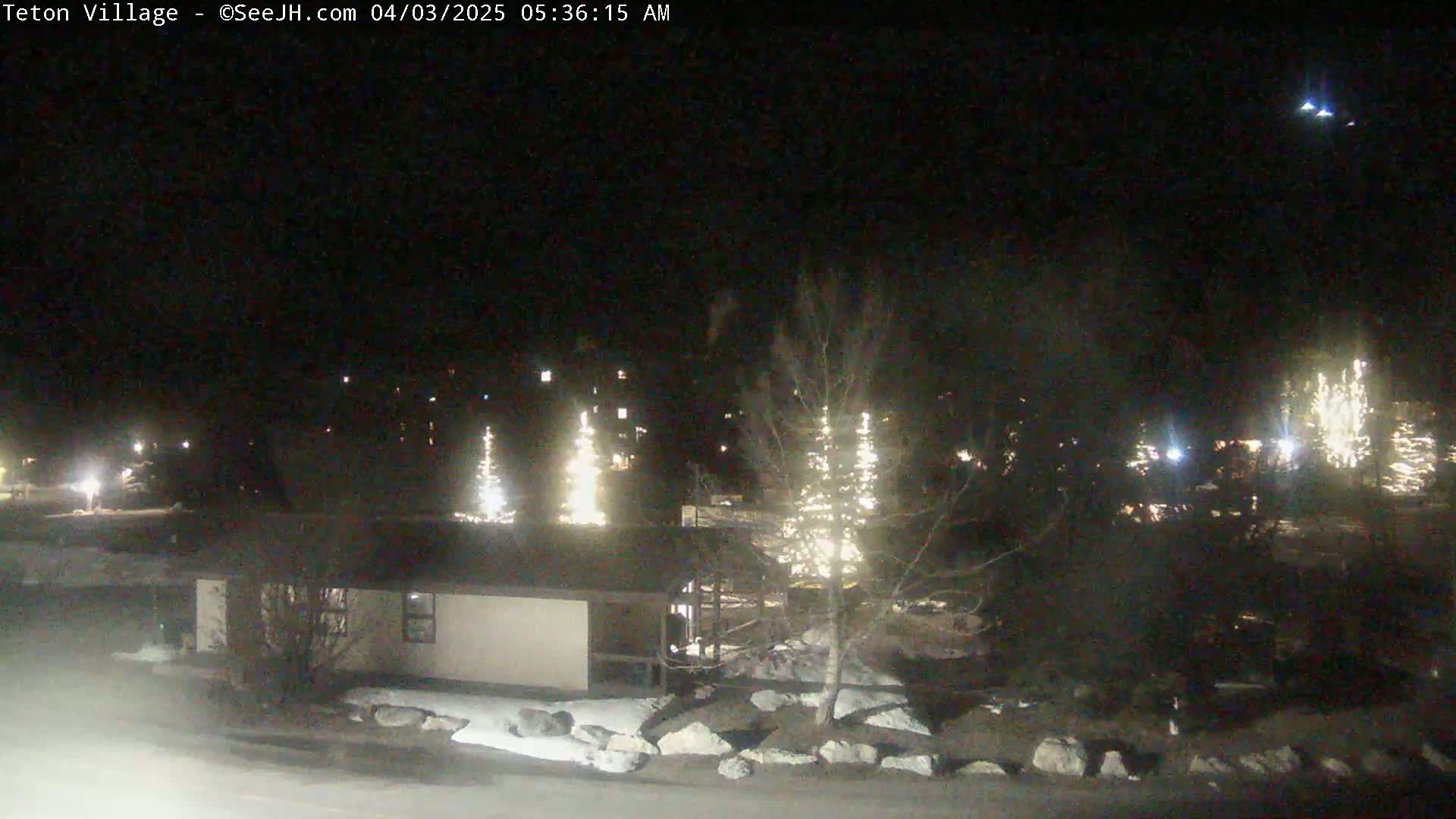 A nighttime view of a snow-covered landscape with several buildings and illuminated trees, under a clear, dark sky.