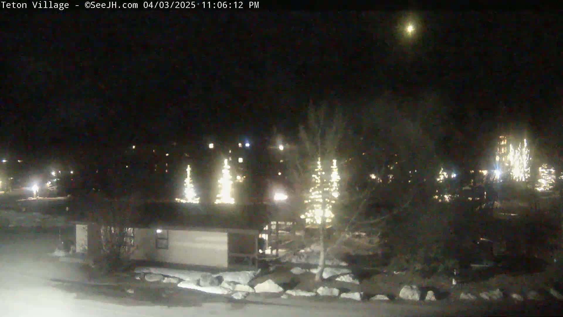 A nighttime view of a small town or village with illuminated Christmas trees and a single-story building, under a clear sky.
