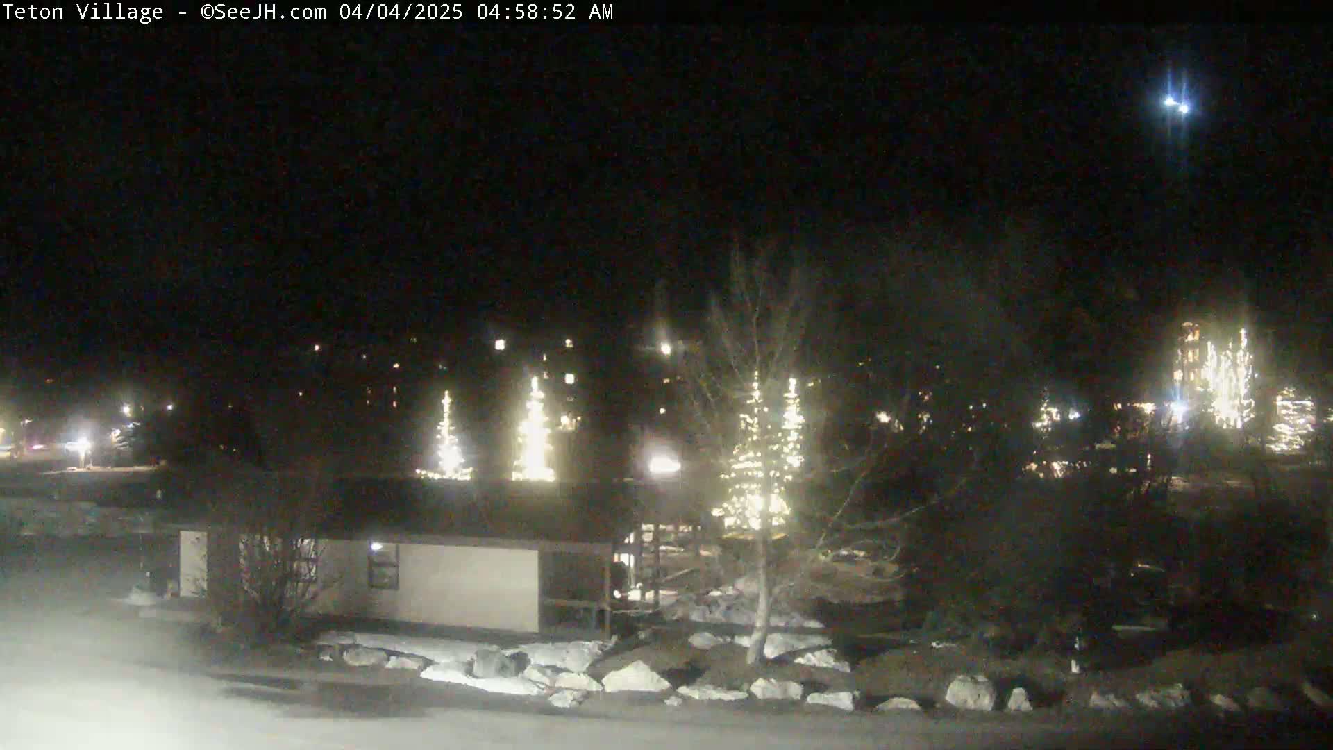A nighttime scene shows a building illuminated by artificial lights, several trees decorated with lights, and a partly snowy ground under a dark sky.