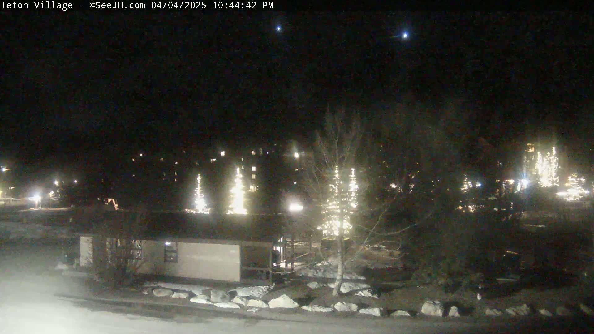 A nighttime view of a snow-covered village with illuminated trees and buildings under a clear, dark sky.