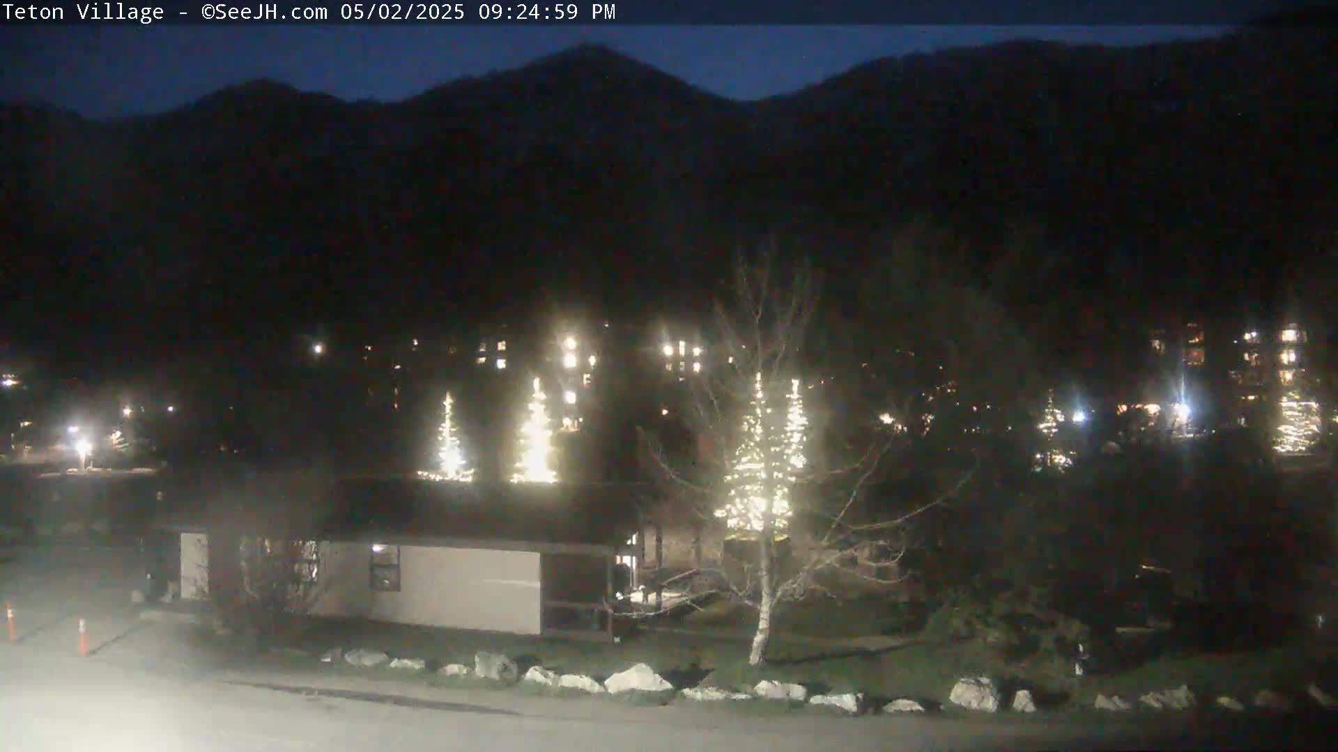 A nighttime view of a residential area nestled against a dark mountain range, featuring several illuminated Christmas trees and a single-story building.