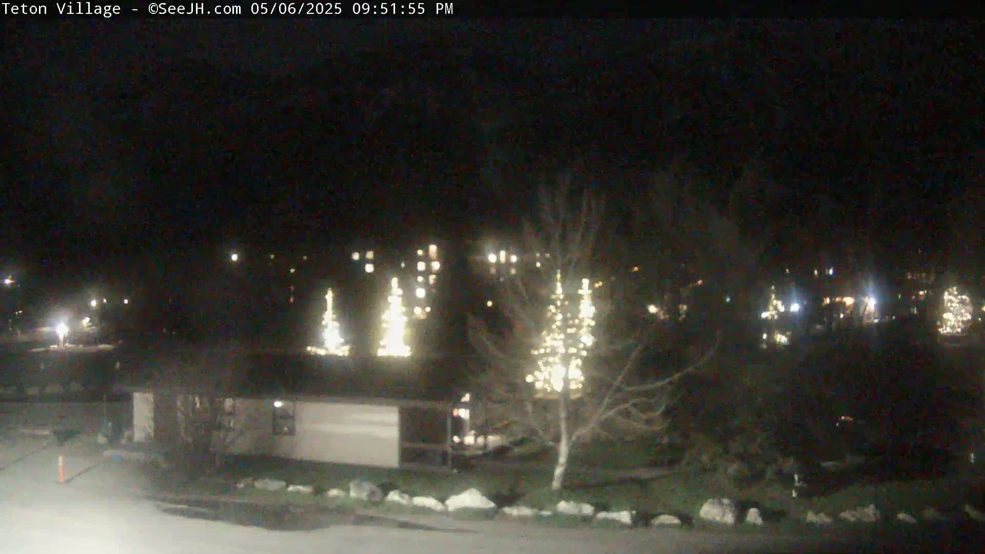 At night, several illuminated trees stand near a building in a dark, sparsely lit area.