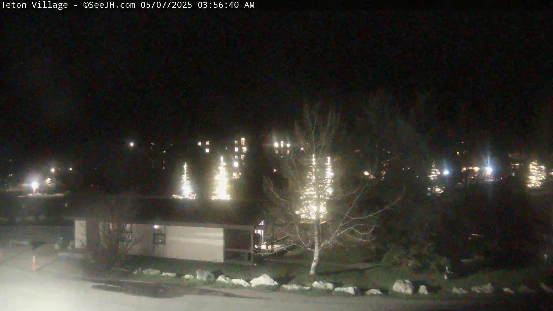 A nighttime view of a residential area with illuminated Christmas trees and buildings under a clear, dark sky.
