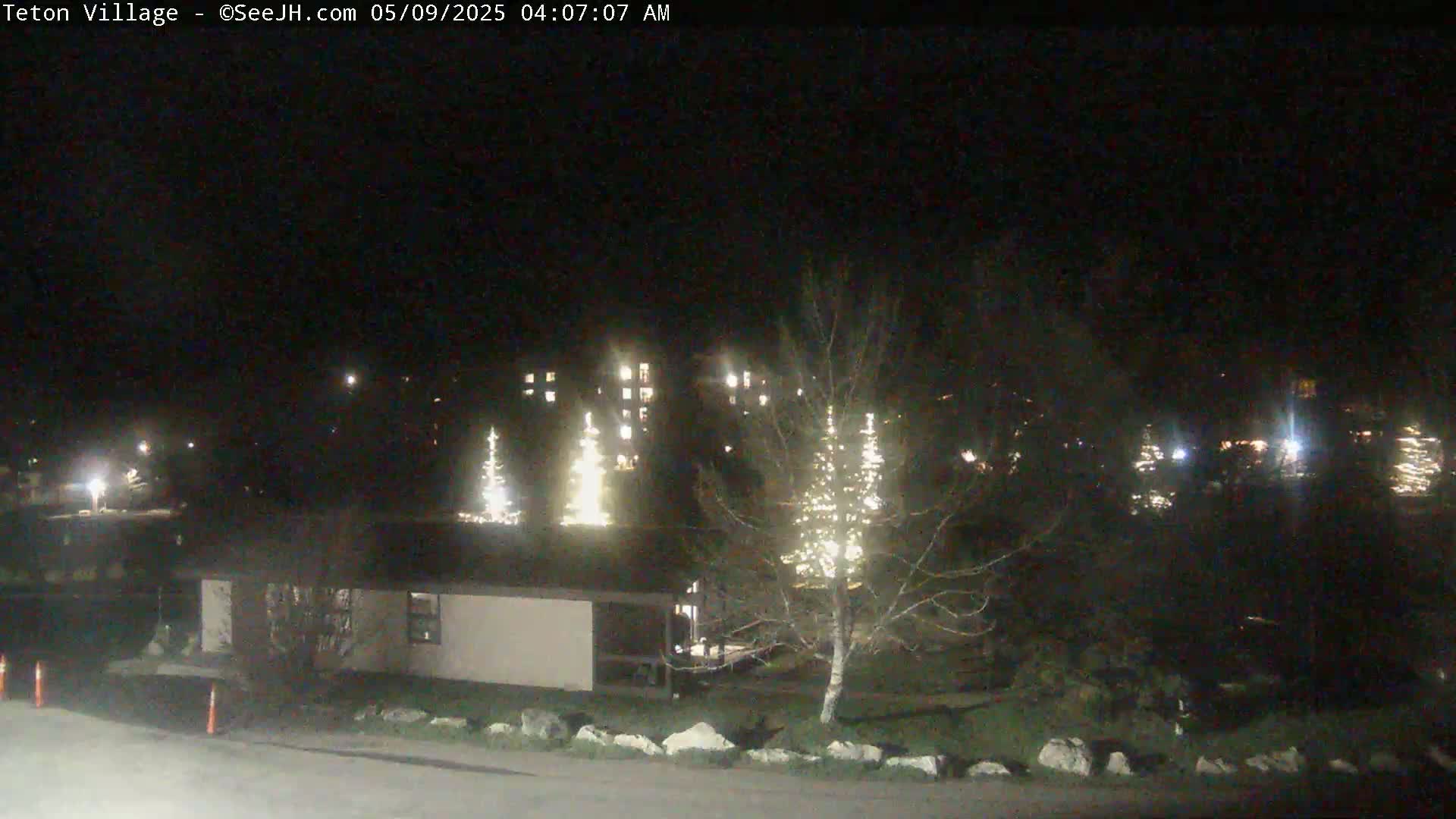 At night, several buildings are illuminated, with some trees decorated with lights, in a landscape under a dark sky.