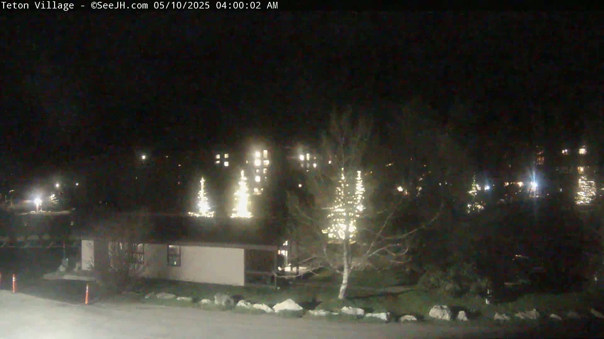 At night, illuminated Christmas trees stand beside a building and other structures, under a dark sky.