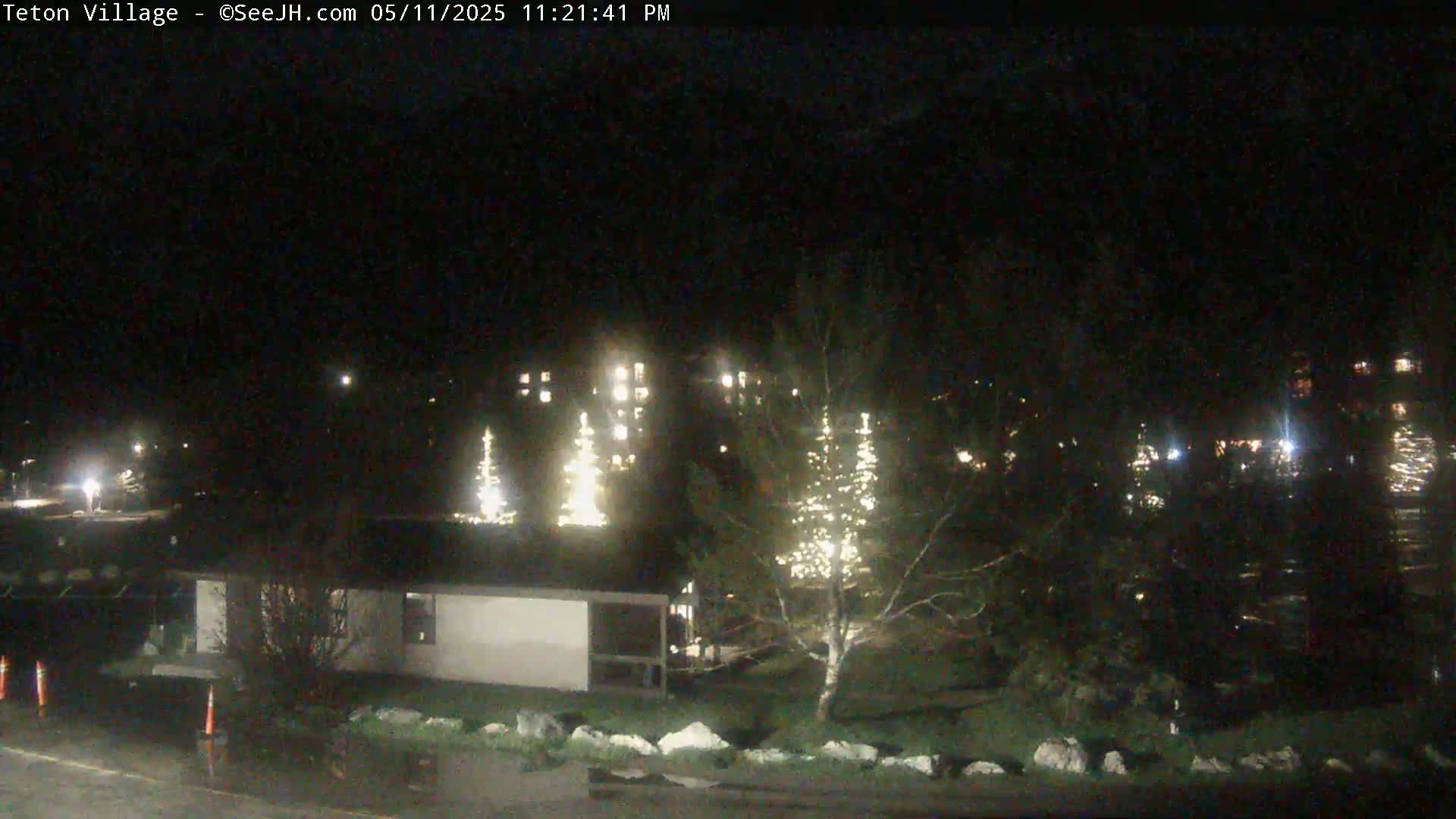 A nighttime view shows several buildings with illuminated windows and Christmas trees, some also lit, in a snow-covered area.