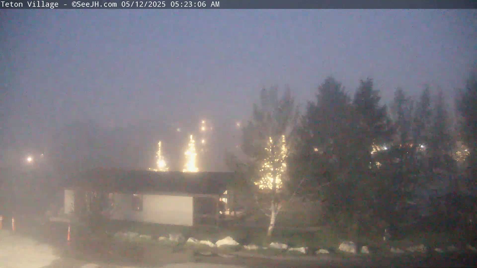 A foggy, dimly lit scene shows a building and trees, some of which are decorated with lights.