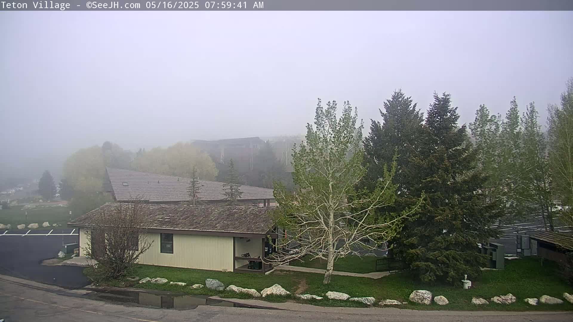 A foggy view of a light-yellow building nestled among trees and a paved parking lot.