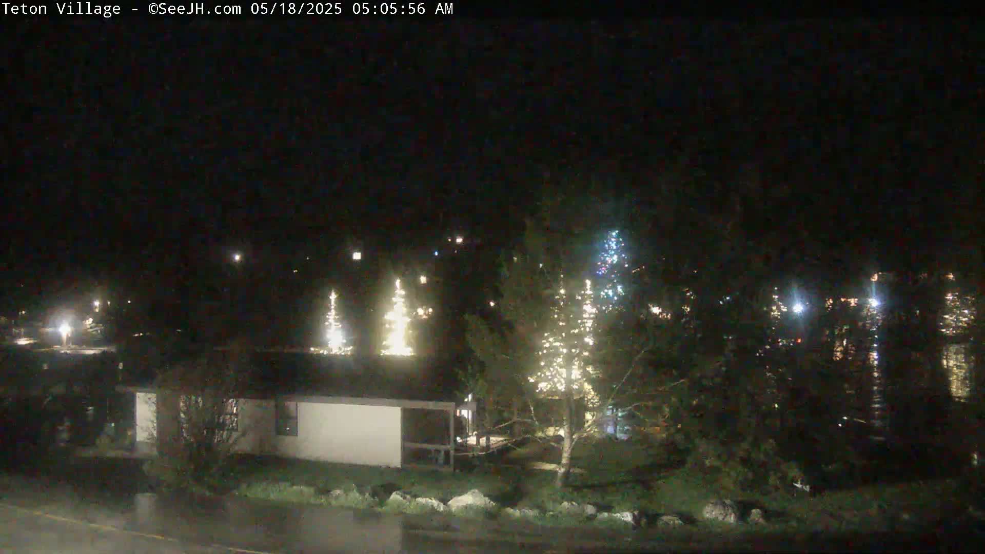 A nighttime view of a residential area with several illuminated Christmas trees and a single-story house, under dark and possibly wet conditions.