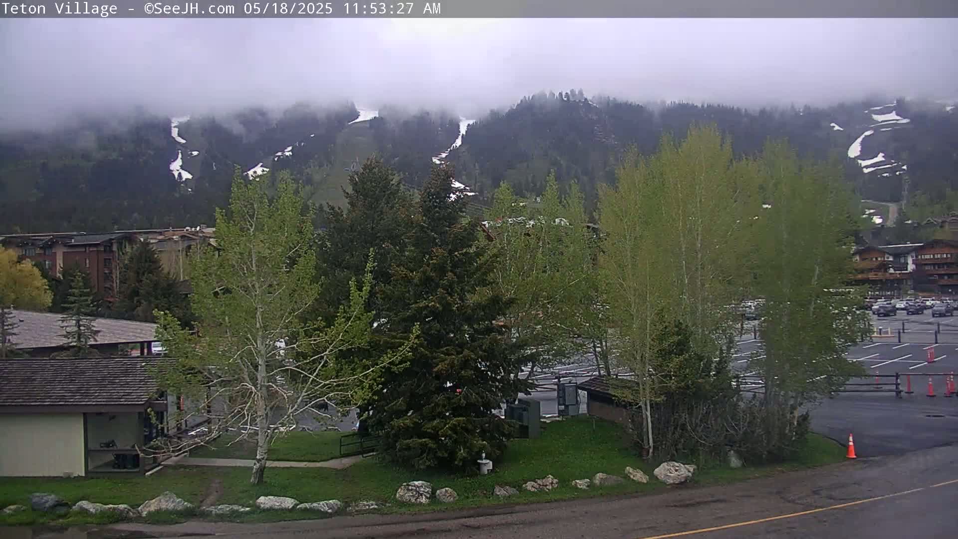 A view of a mountainside partially obscured by fog, with buildings, trees, and a parking lot in the foreground.