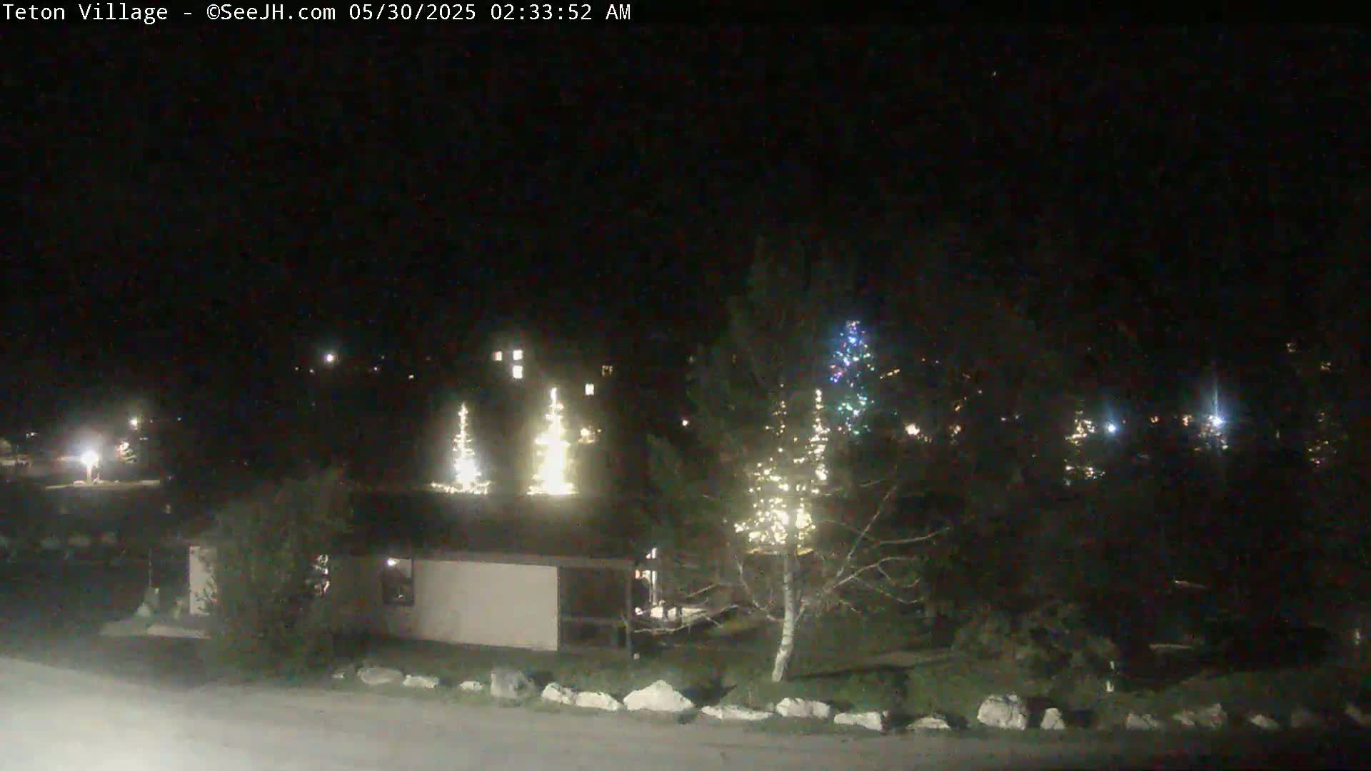 A nighttime outdoor scene shows a few illuminated Christmas trees near a small building, with other lights scattered in the distance under a clear, dark sky.