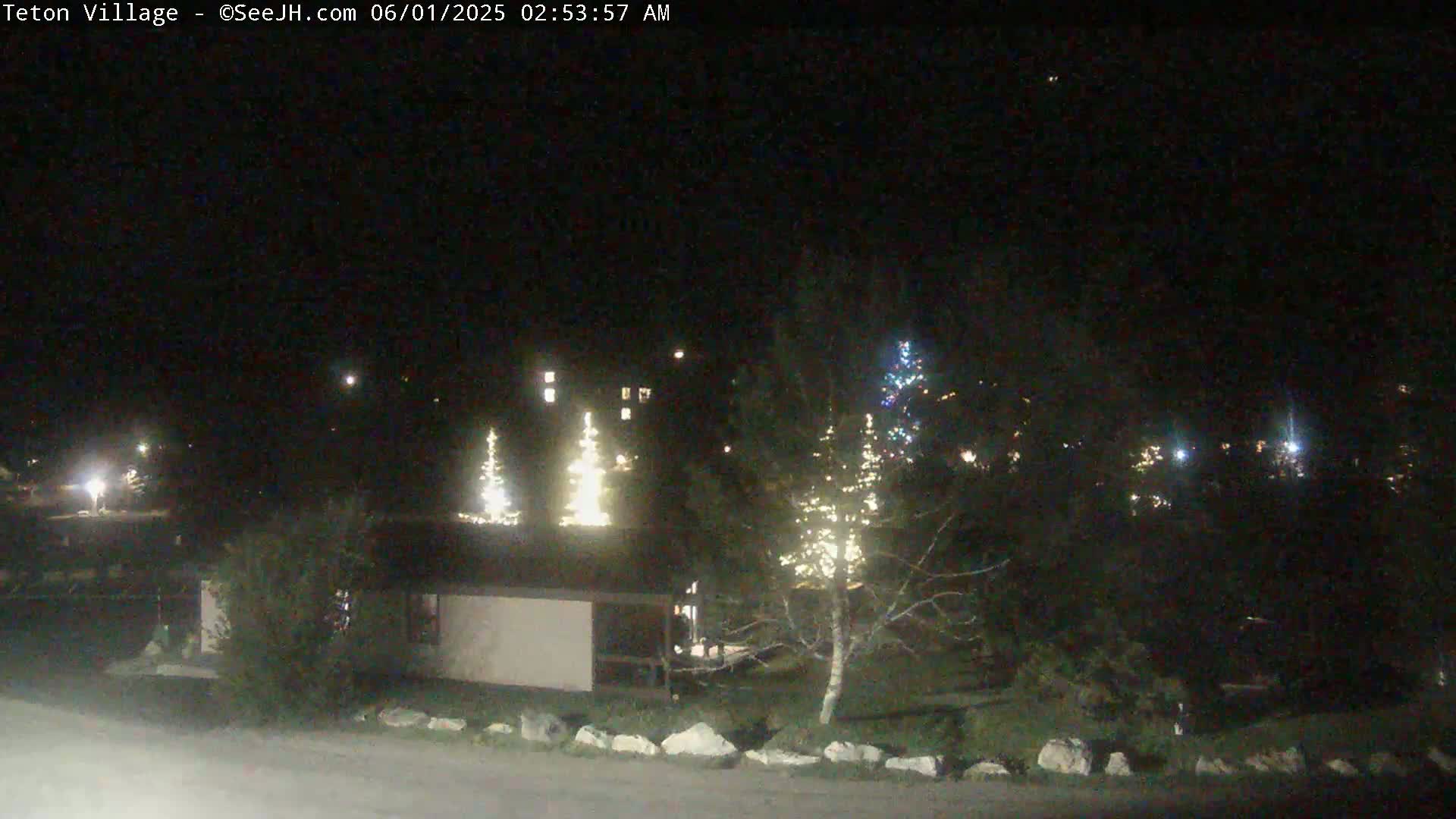 At night, under a clear sky, illuminated Christmas trees stand near a building and other lights in a sparsely populated area.
