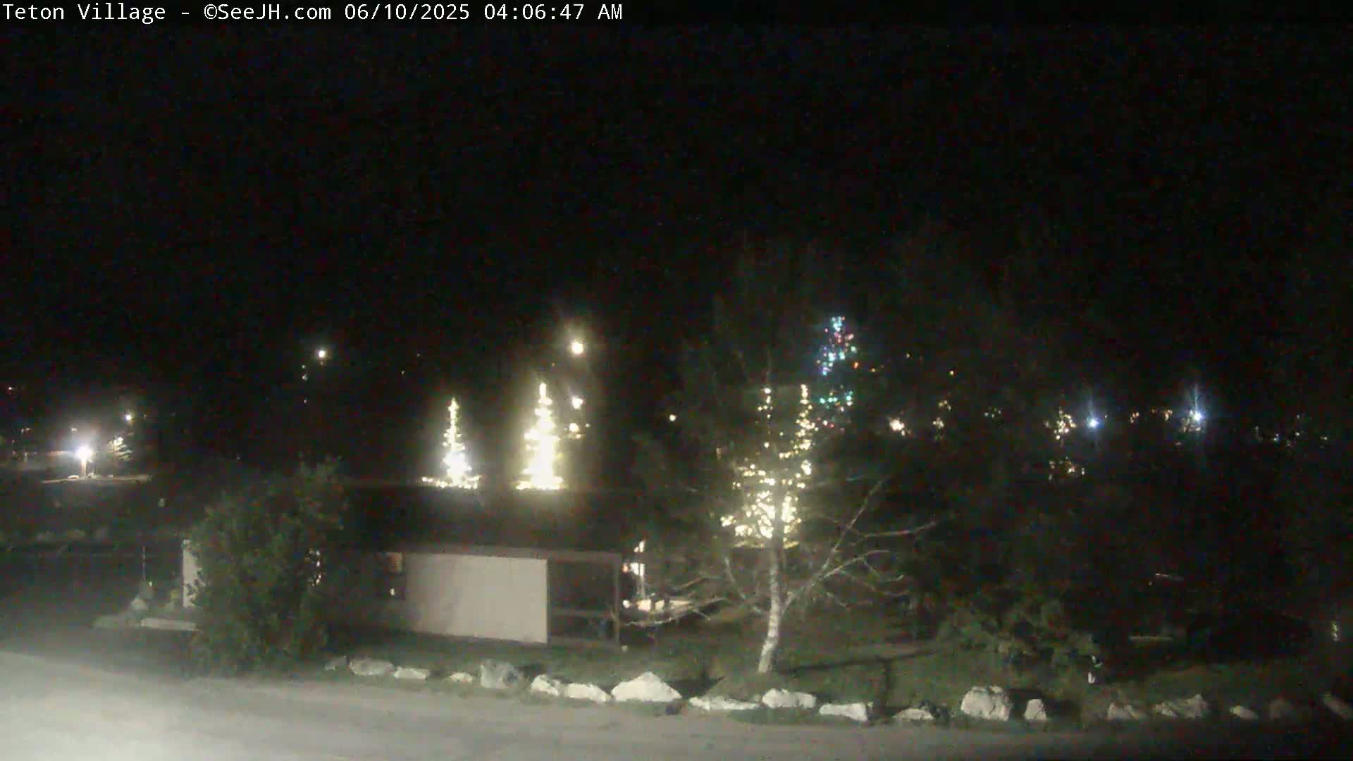 At night, several illuminated Christmas trees stand near a small building, with more lights visible in the distance under a dark sky.