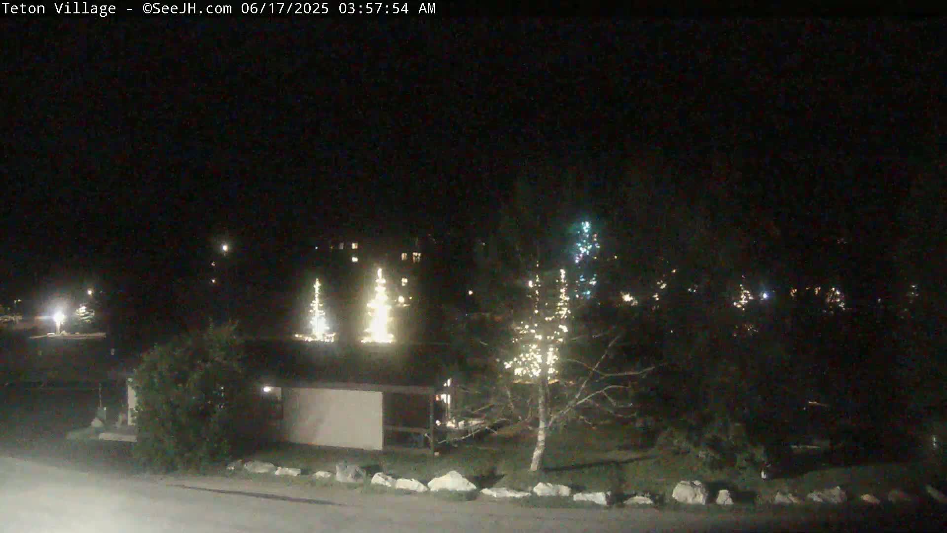 A nighttime view of a residential area with several houses and trees decorated with Christmas lights.