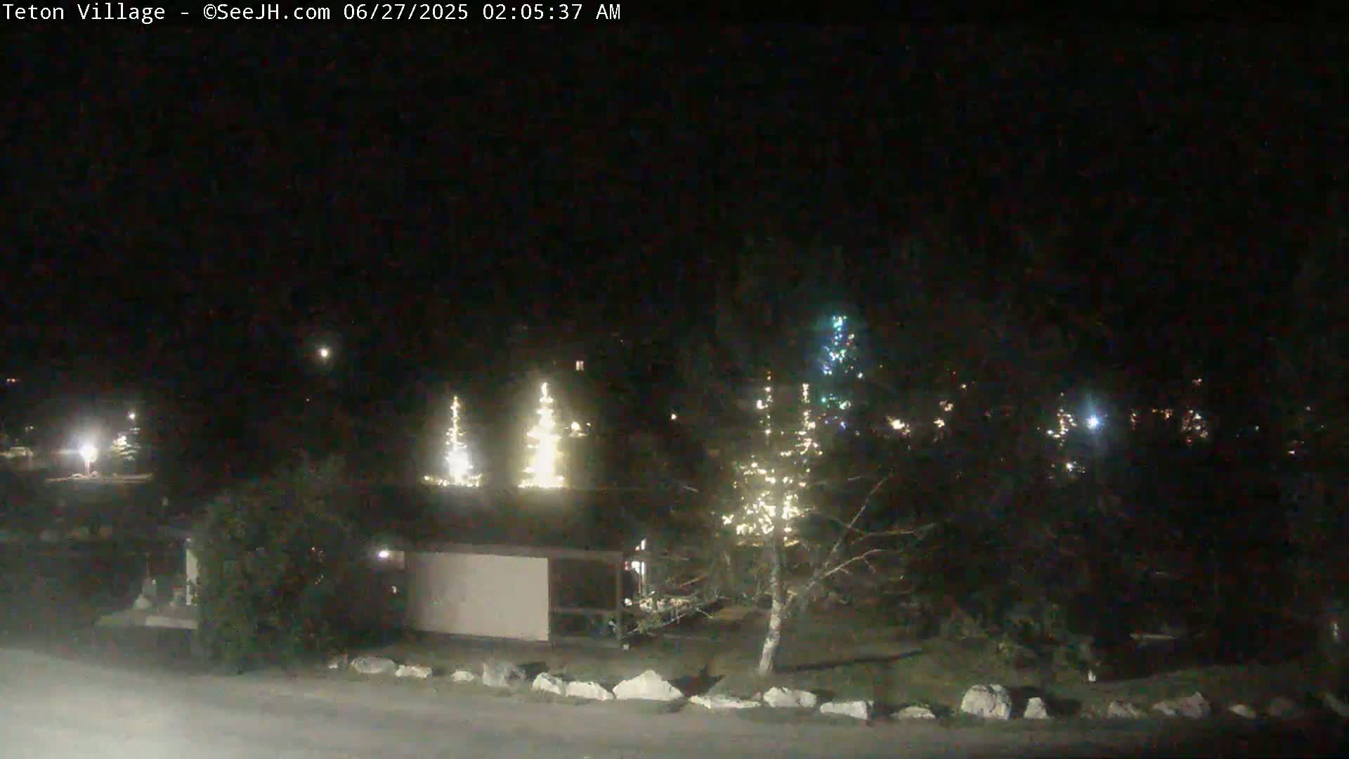 At night, several illuminated Christmas trees are visible among dark trees and a building, under a clear, dark sky.