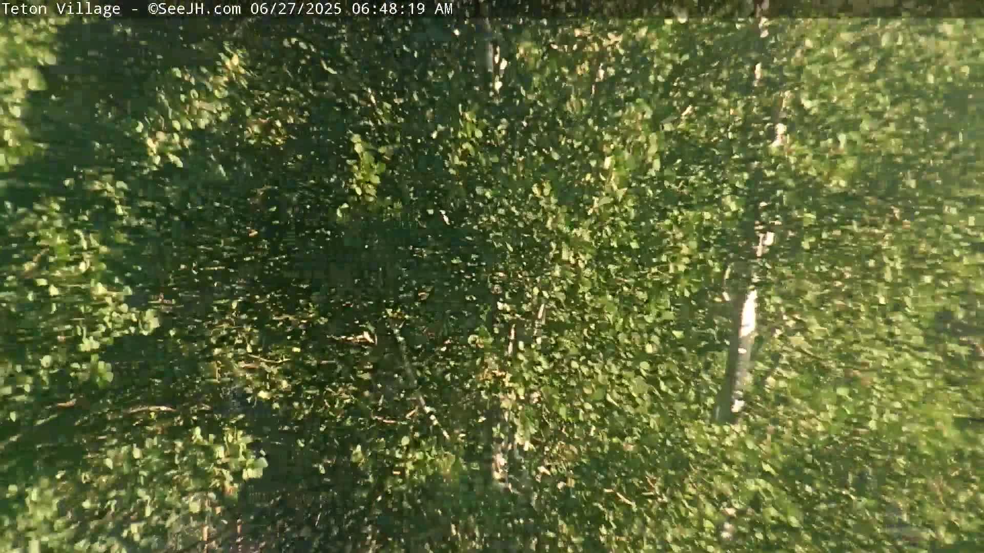 Teton Village & Grand Tetons Ski Slopes Live Cam - Teton Village , Teton, Wyoming, USA