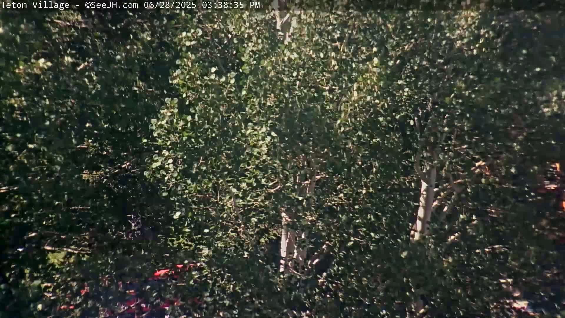 Teton Village & Grand Tetons Ski Slopes Live Cam - Teton Village , Teton, Wyoming, USA