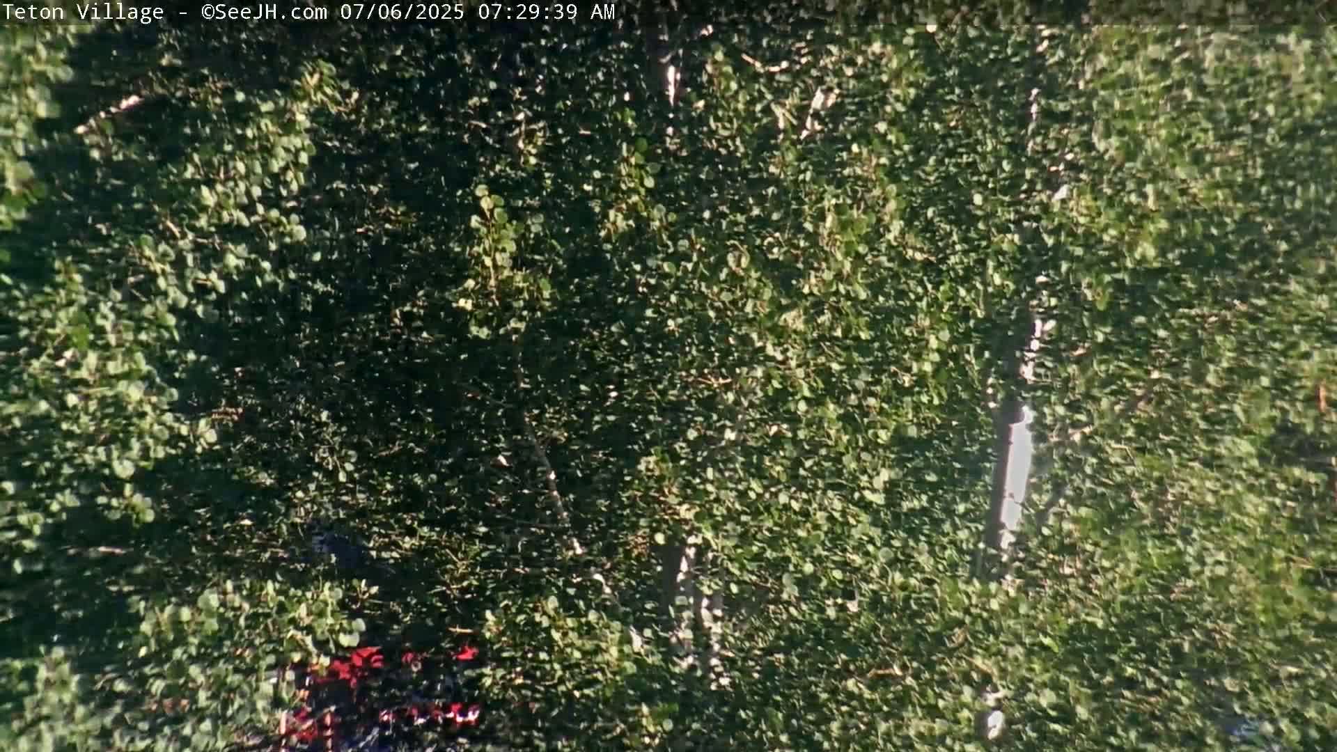 Teton Village & Grand Tetons Ski Slopes Live Cam - Teton Village , Teton, Wyoming, USA