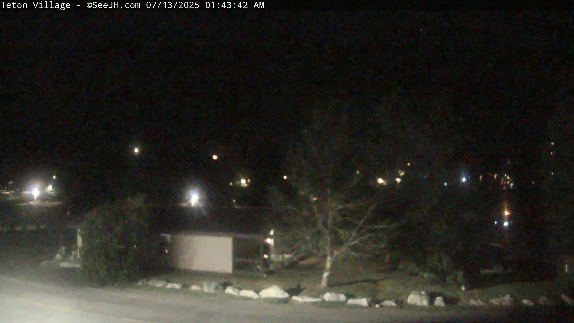 A nighttime view of a residential area with scattered lights and a few trees under a clear, dark sky.